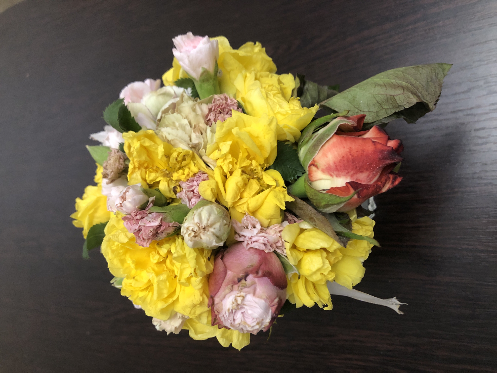 Evening hospitality gathering documented in Yerevan with flowers, food
