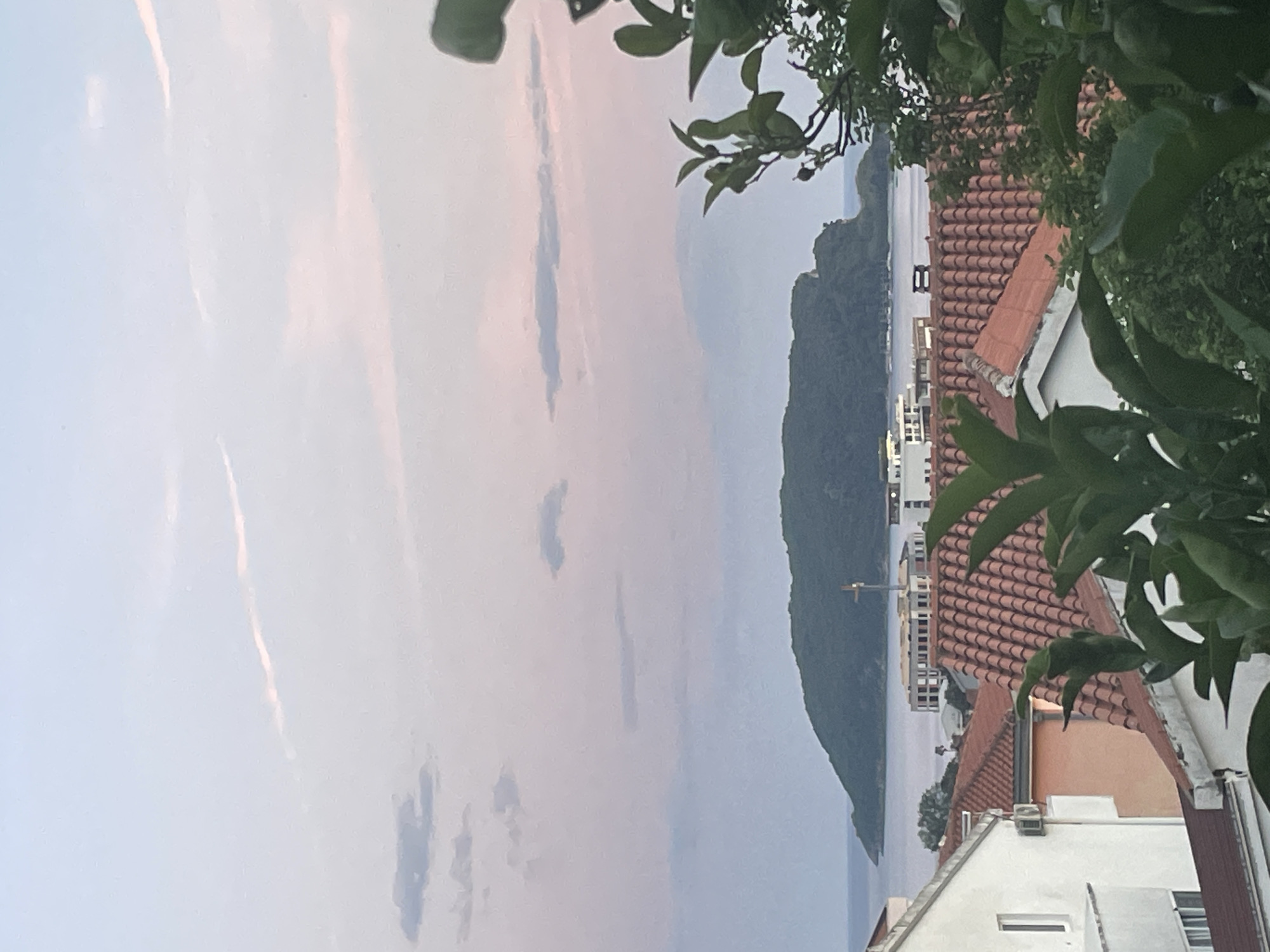 Evening stroll through Budva captures cats, flowers, architecture