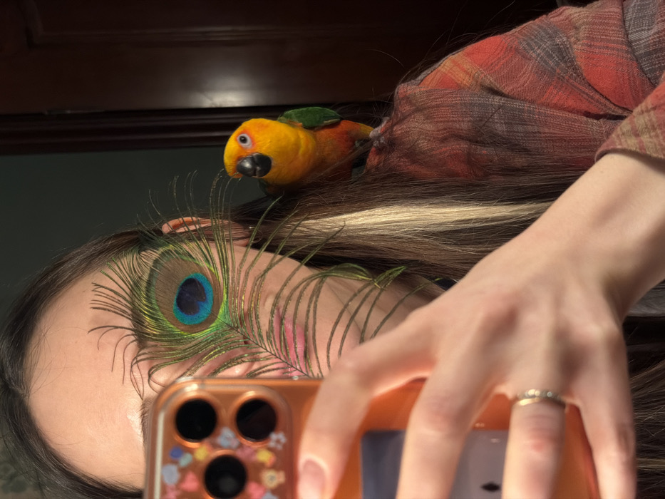 Woman, child play with colorful parrot during afternoon in Khimki
