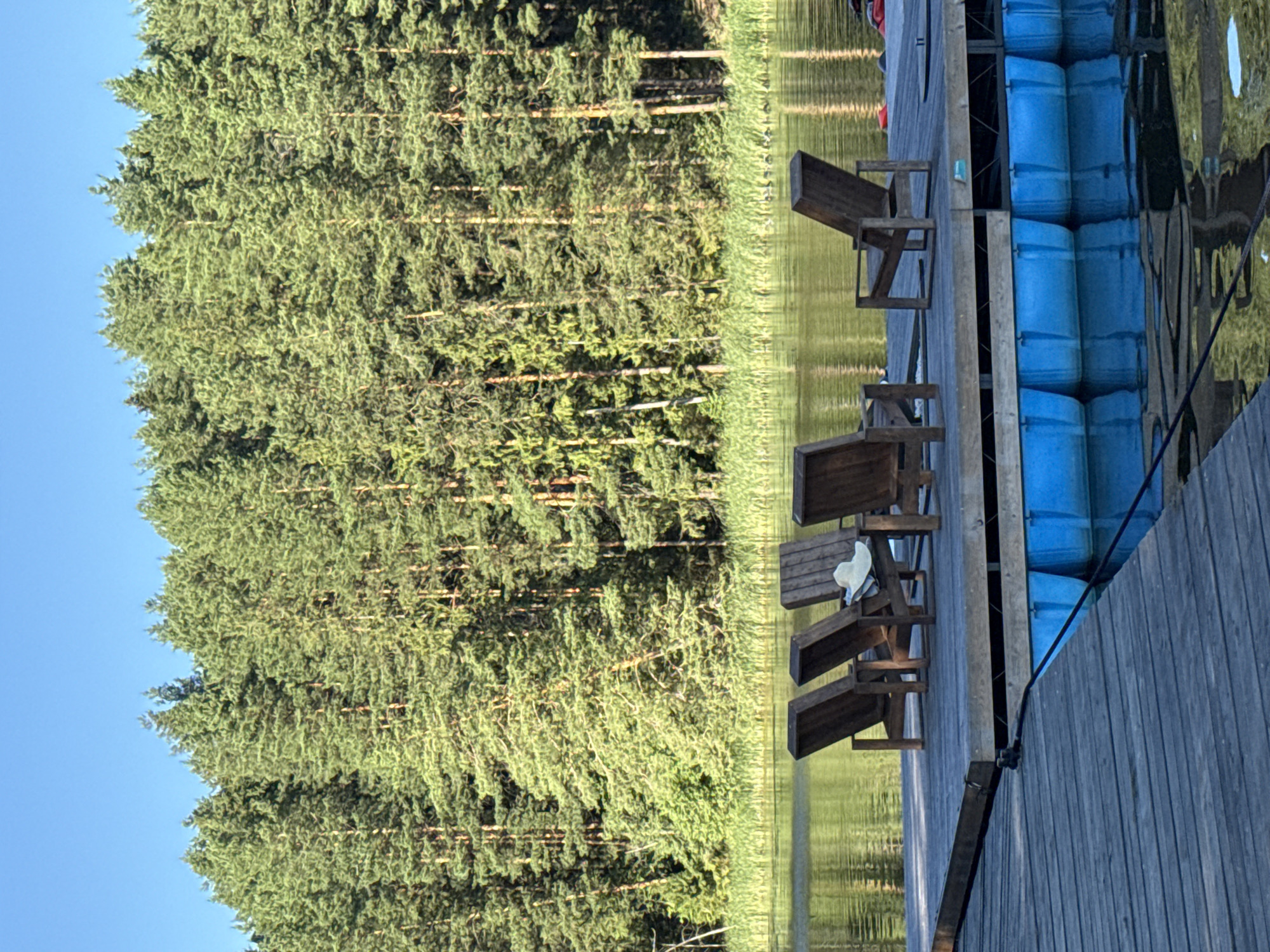 Lakeside cabin retreat on the Votkinsk Reservoir, summer afternoon