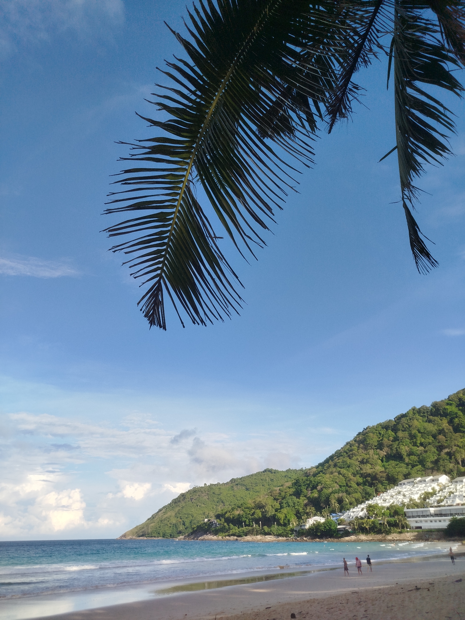 Morning beach walk with dogs at Rawai, Phuket