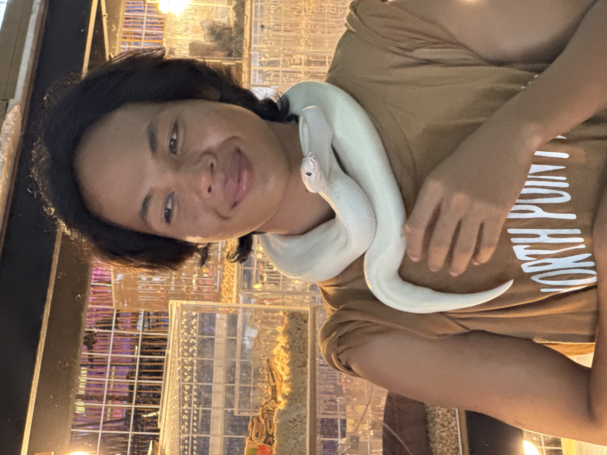 Exotic animals displayed publicly in Chalong, Thailand