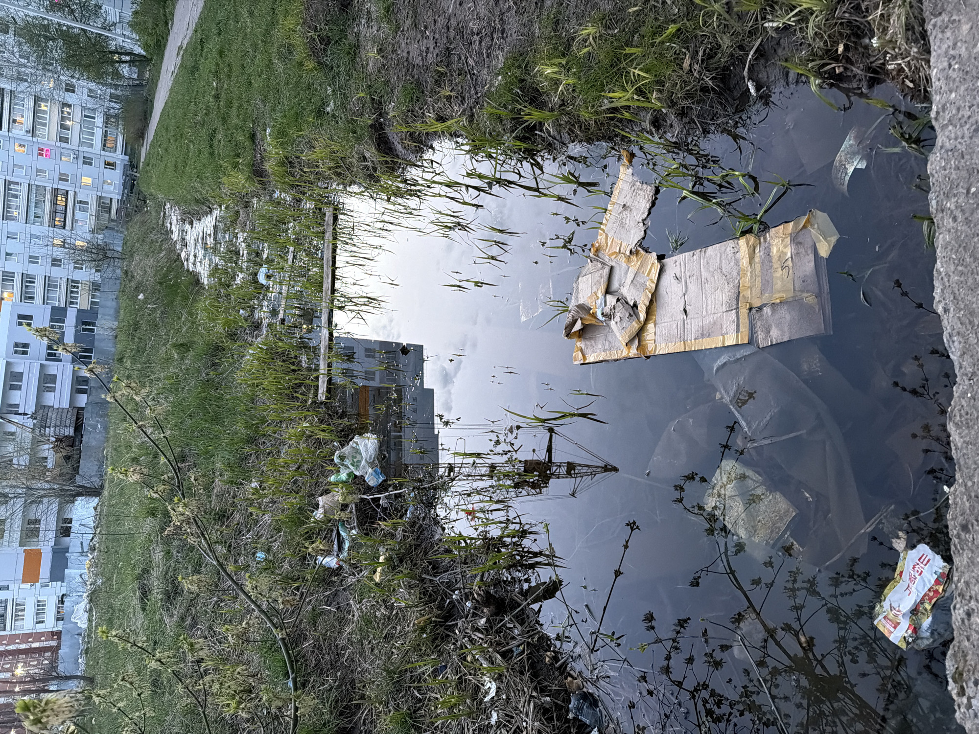 Ordinary afternoon moments documented across Chaikovsky, Russia