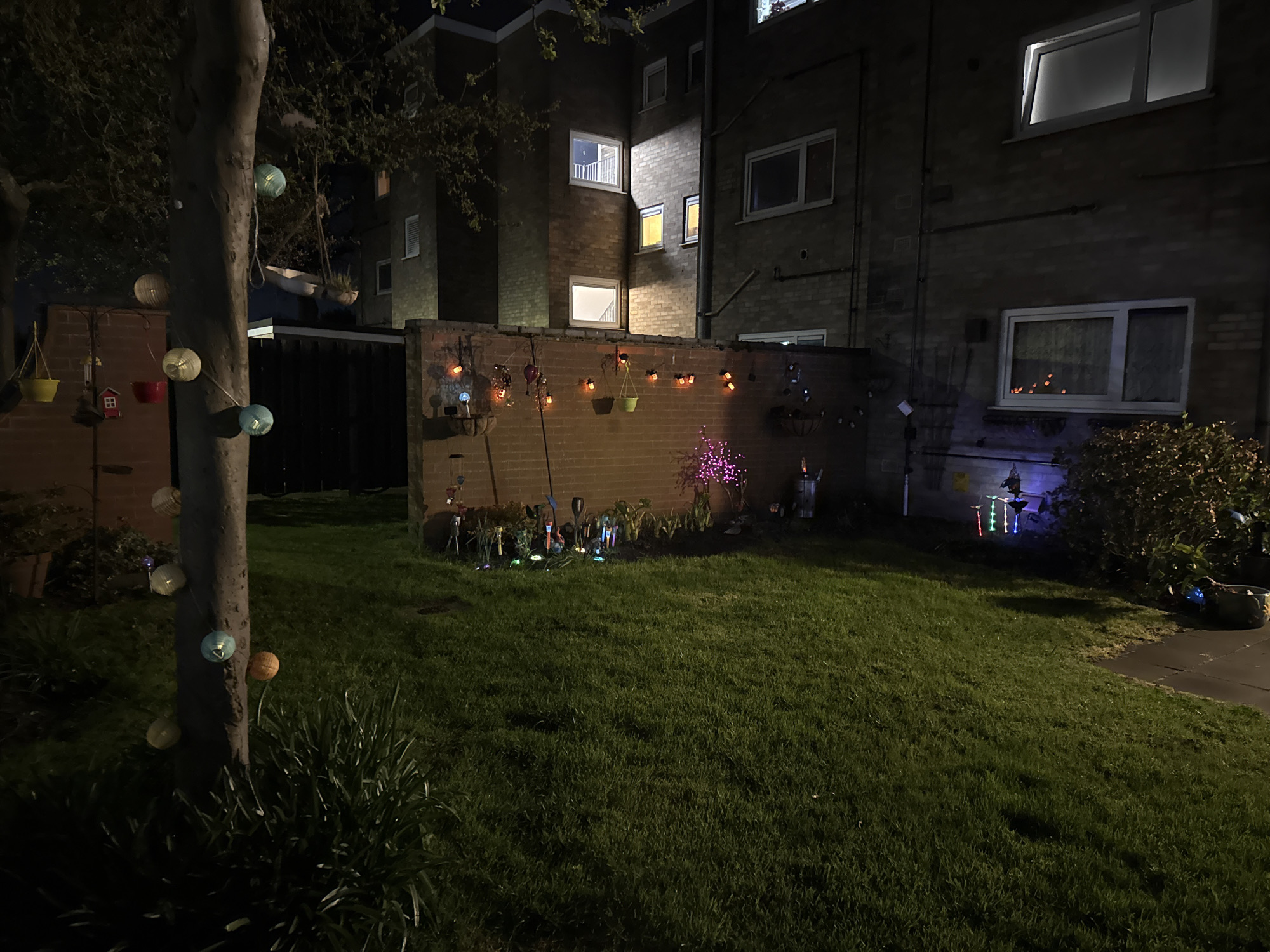 Evening garden lighting display in Gorleston-on-Sea backyard