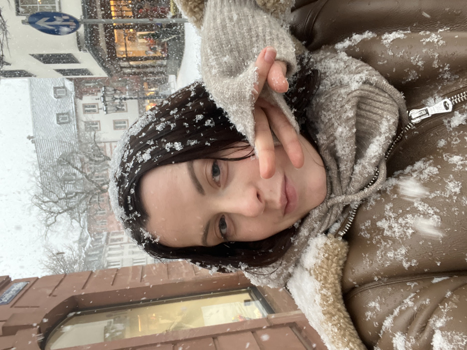 Heavy snowfall blankets Mainz historic center, residents document winter scene