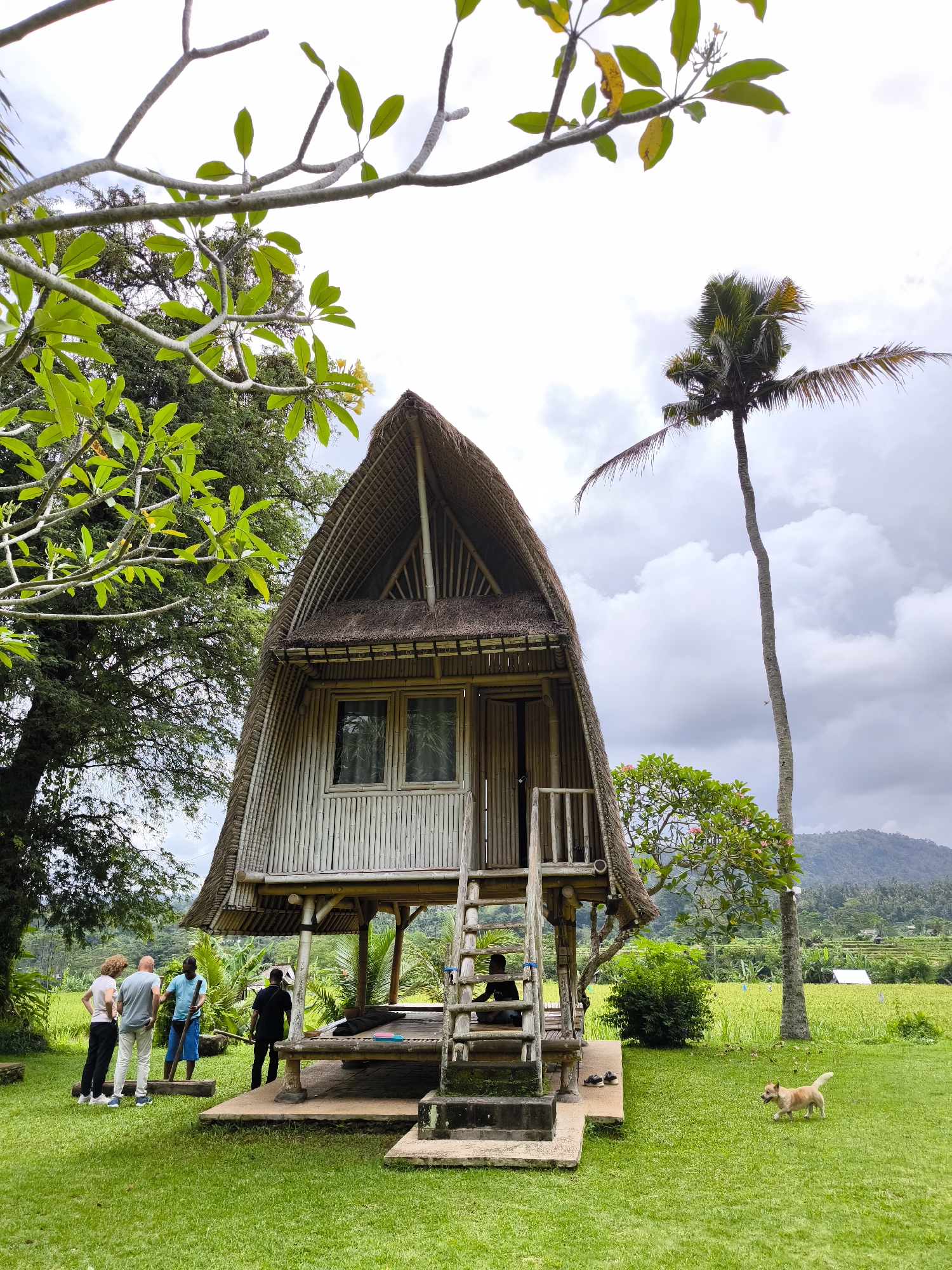 Morning village life documented in rural Sidemen, Indonesia