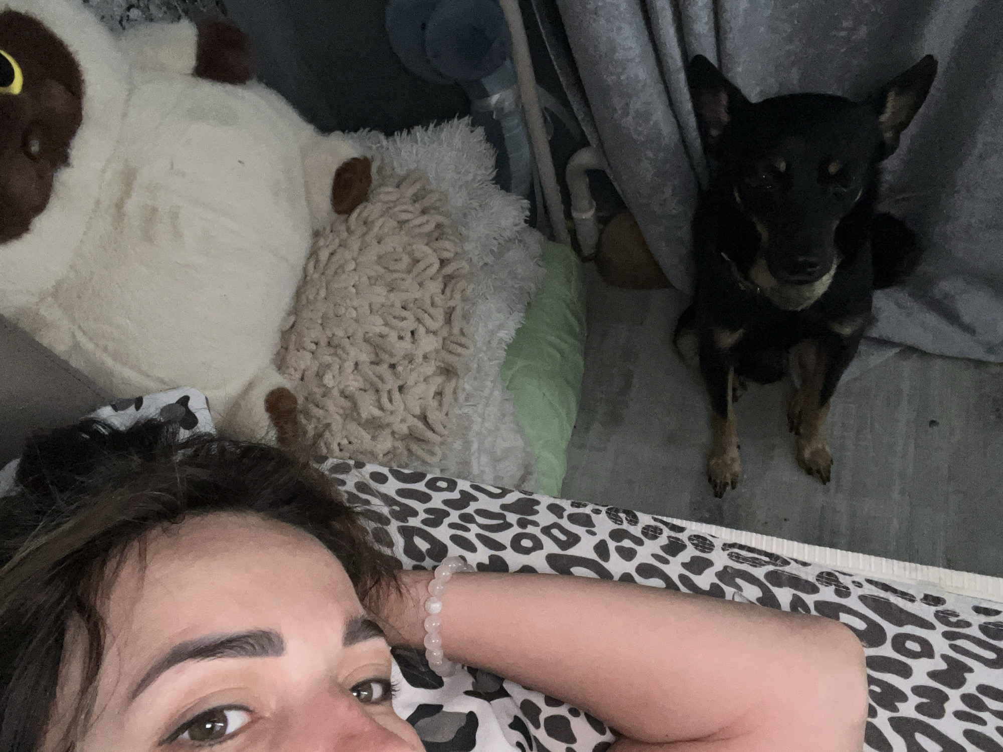 Quiet evening at home, lying down with a dog nearby