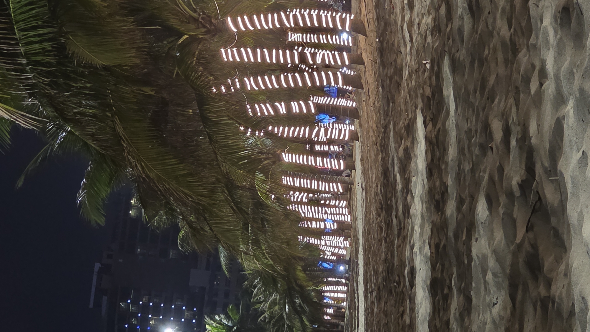 Dogs roam Nha Trang Beach at night