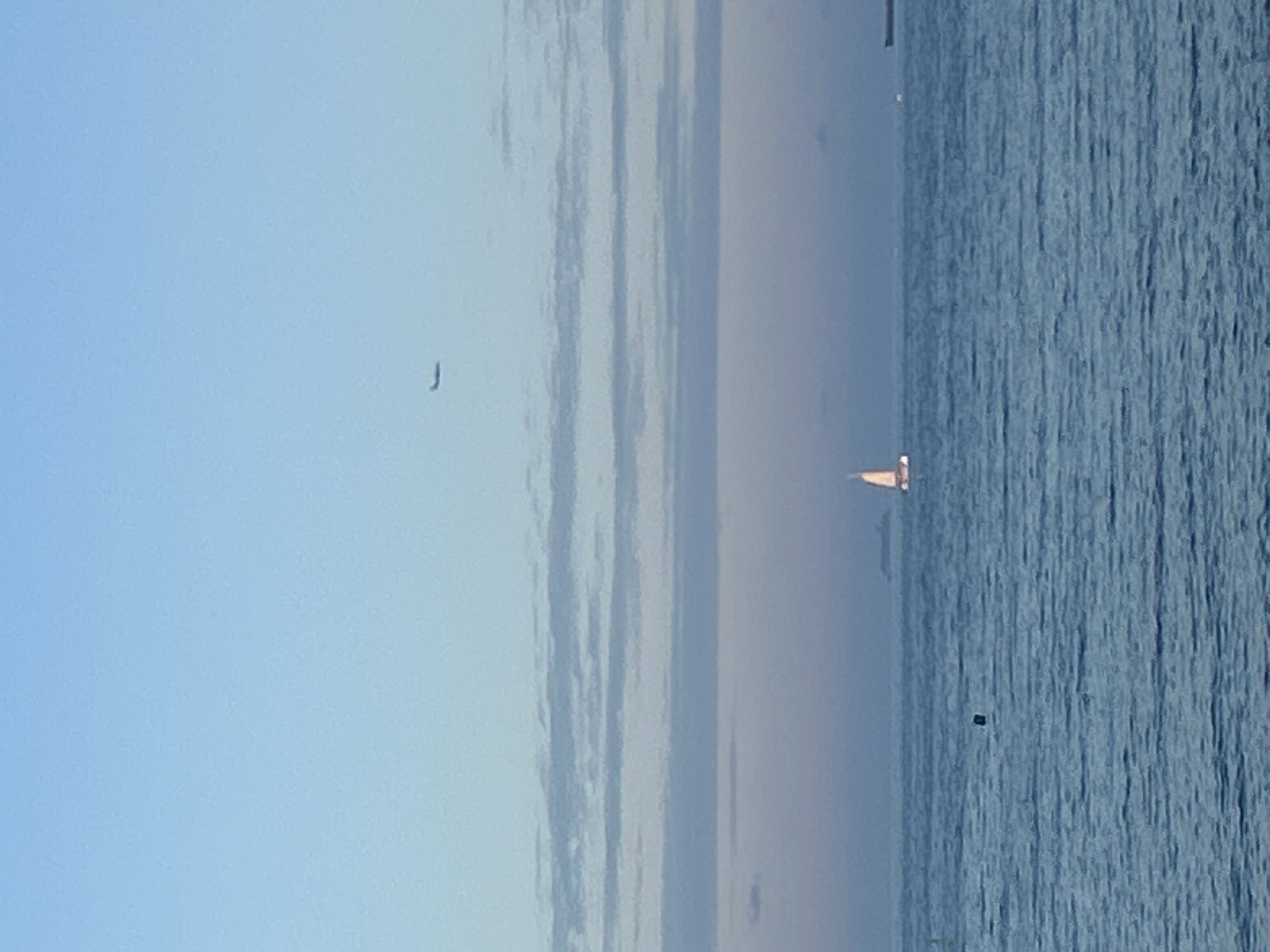Evening beach activities documented along Barcelona's Barceloneta coastline