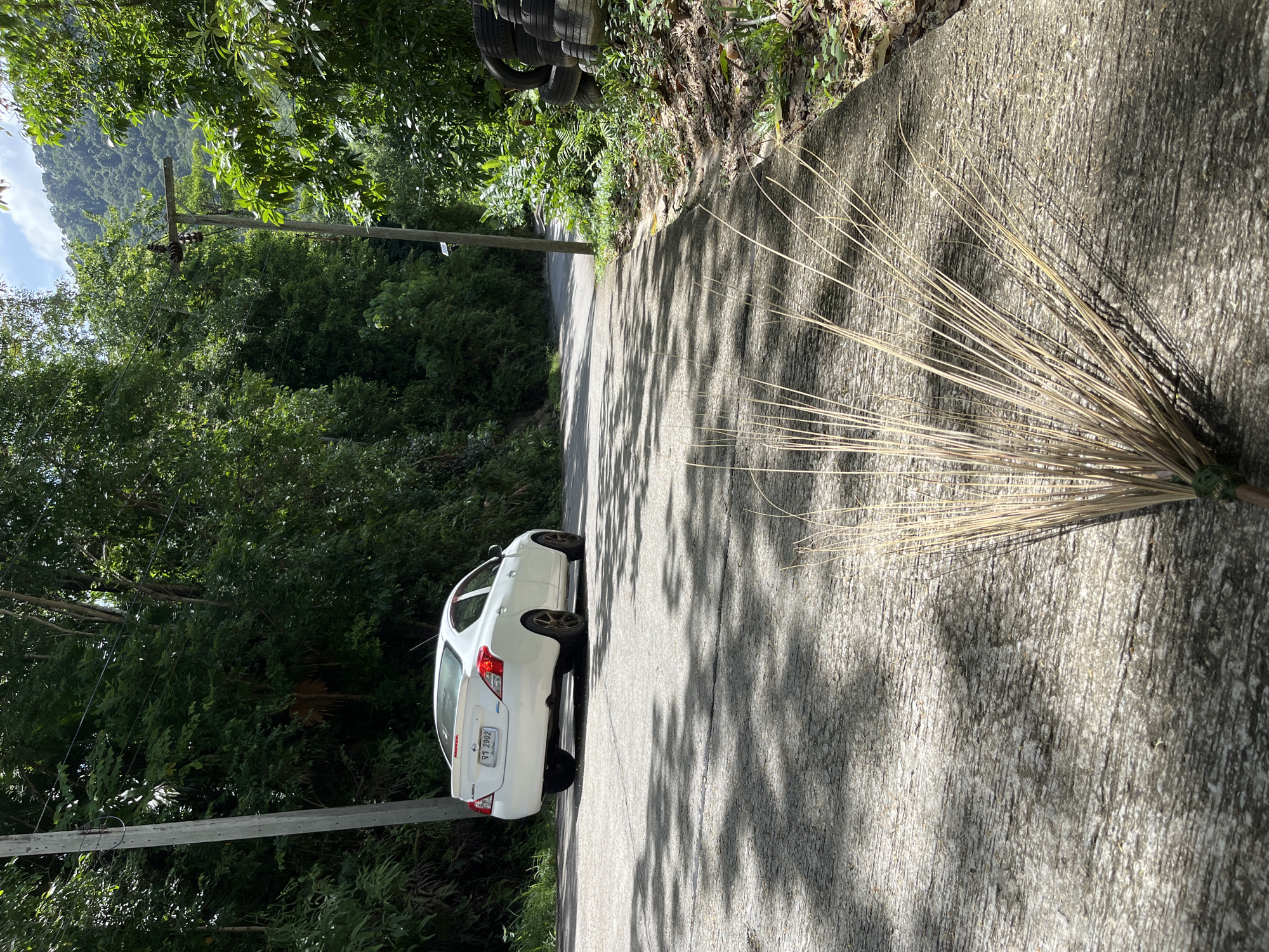 Parked car and lush roadside greenery in Kathu, Thailand