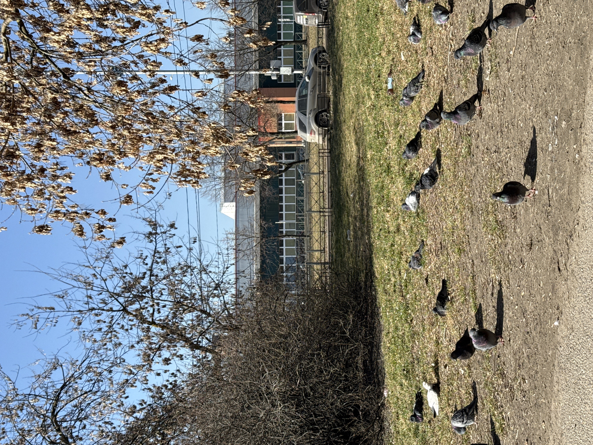 Sunny morning scenes captured in Saint Petersburg urban park