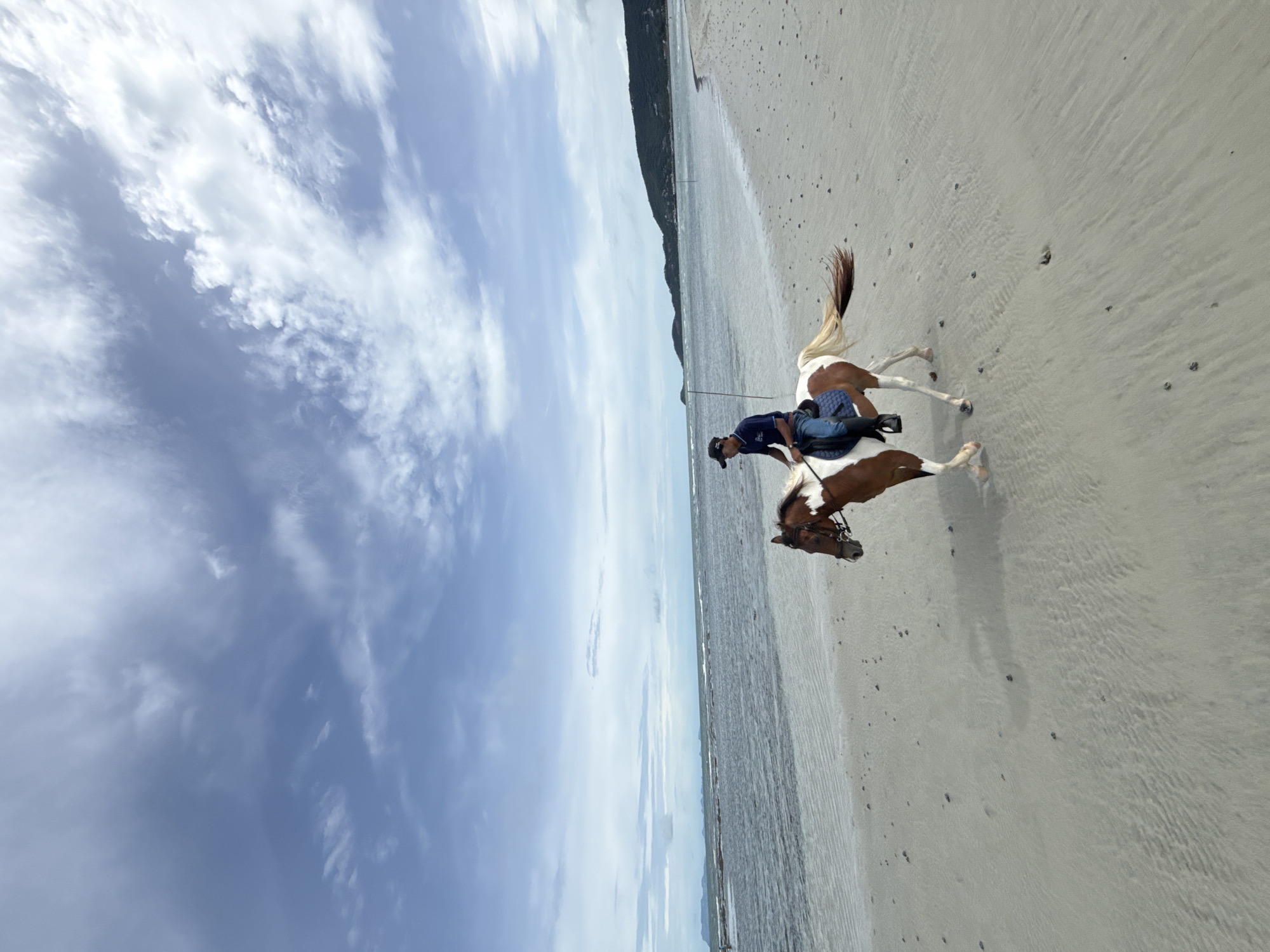 Horseback riding along a Ko Samui beach