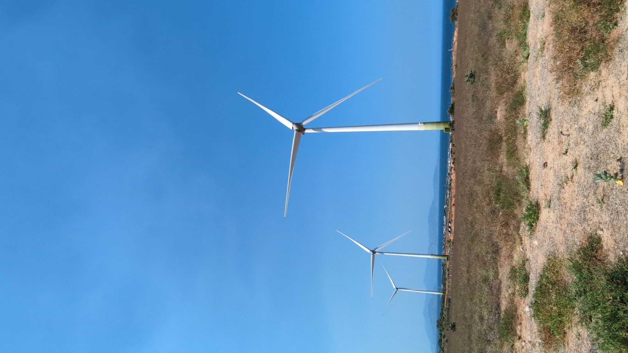 Wind turbines operate in coastal field near Phuoc Dinh