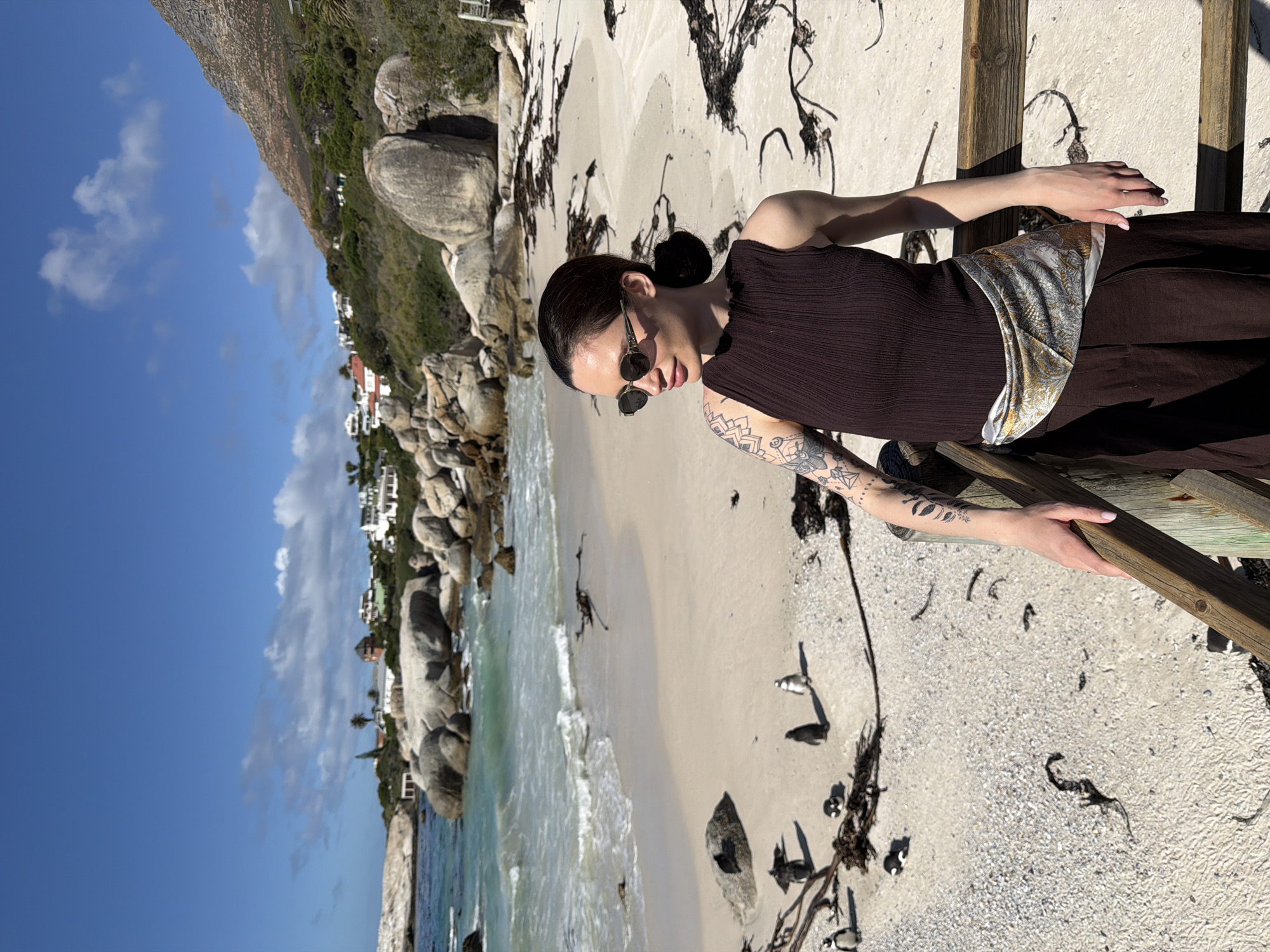 Tourist observes African penguin colony at Simon's Town beach