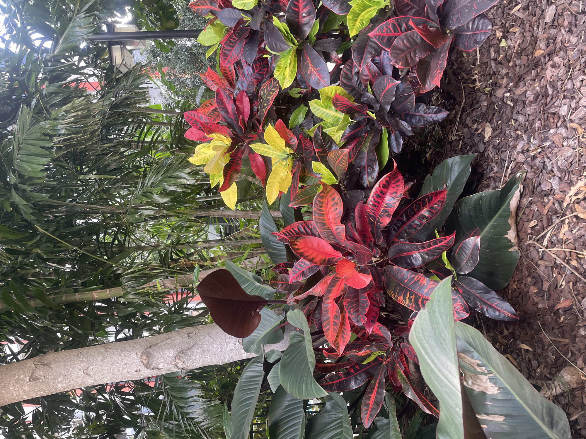 Brisbane, Australia