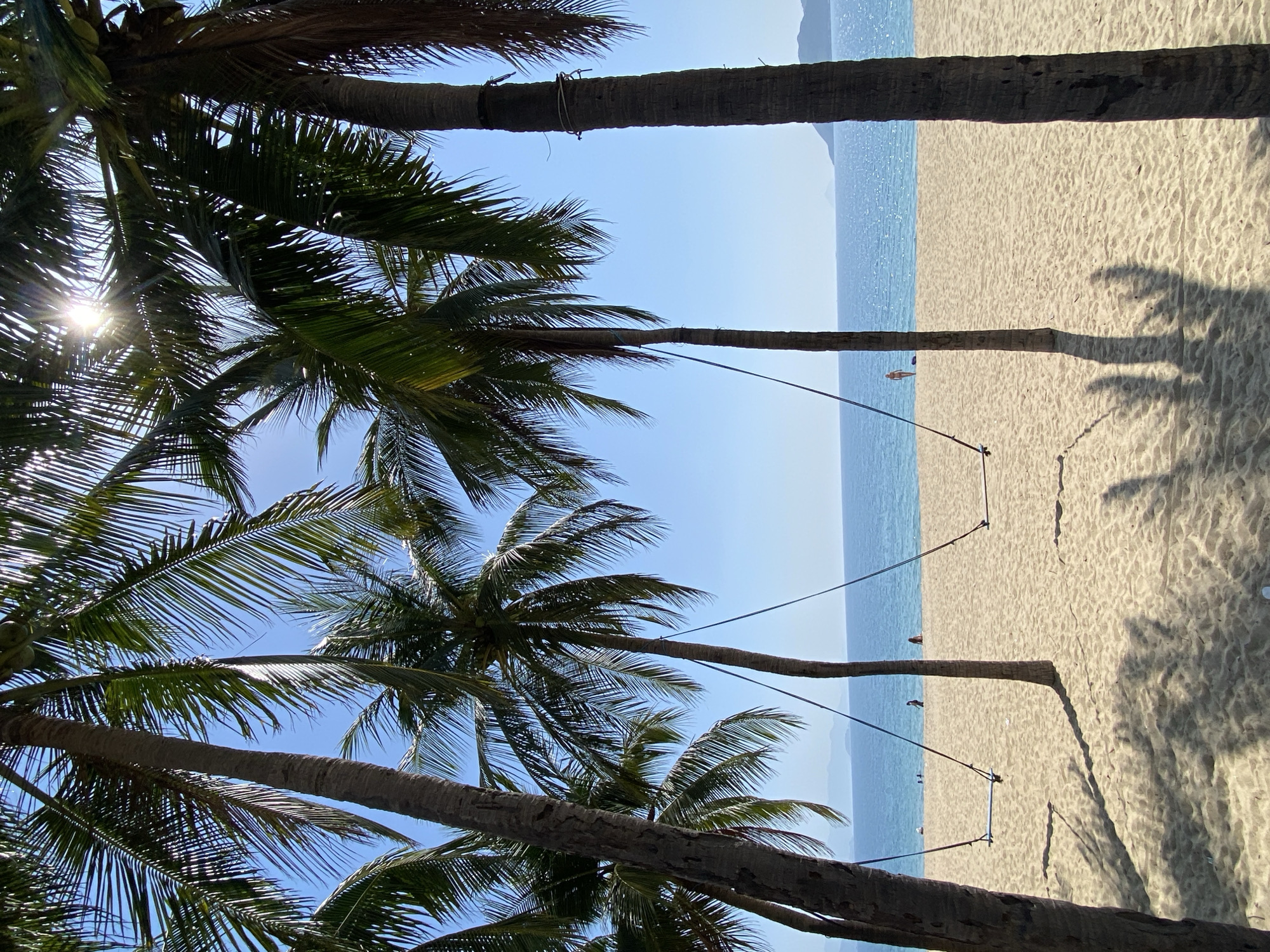 Lazy morning on Nha Trang's palm-lined beach and coastal park