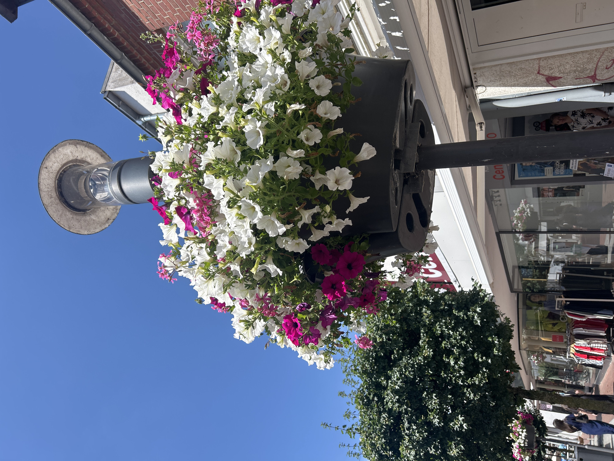 Lingen (Ems) pedestrian street dressed up for summer