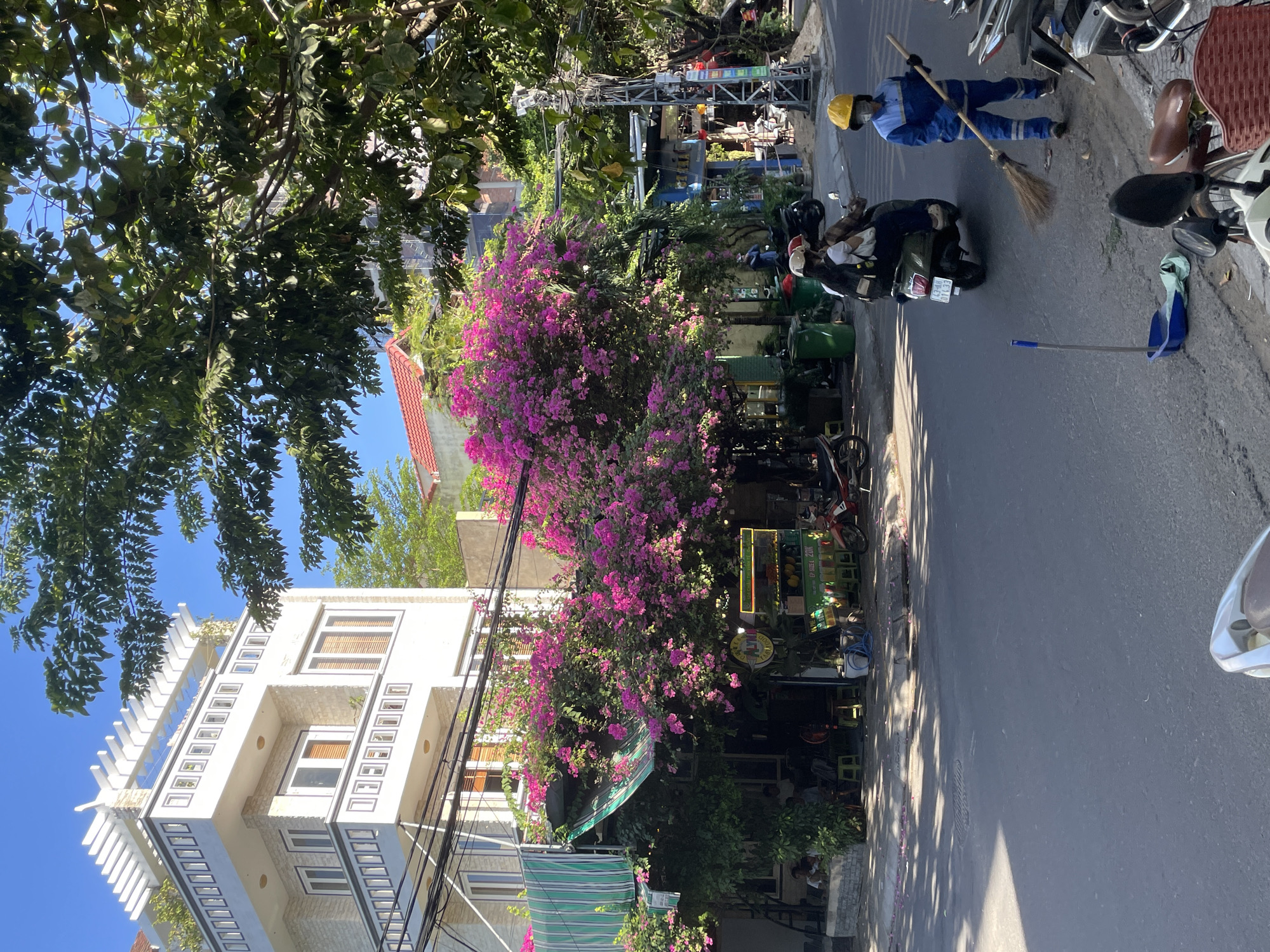 Quiet street life along a sunny Đà Nẵng neighborhood block