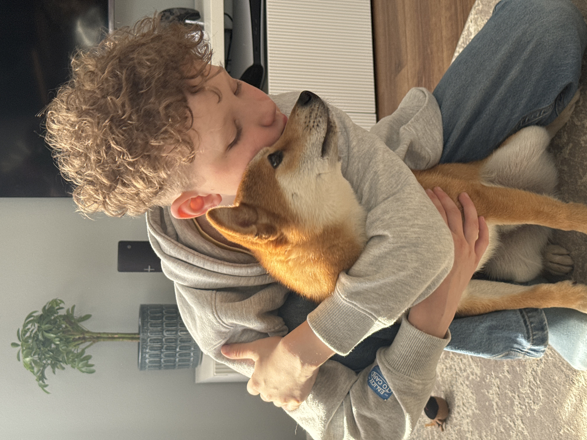 Shiba Inu dog documented in multiple tender moments in Carnikava