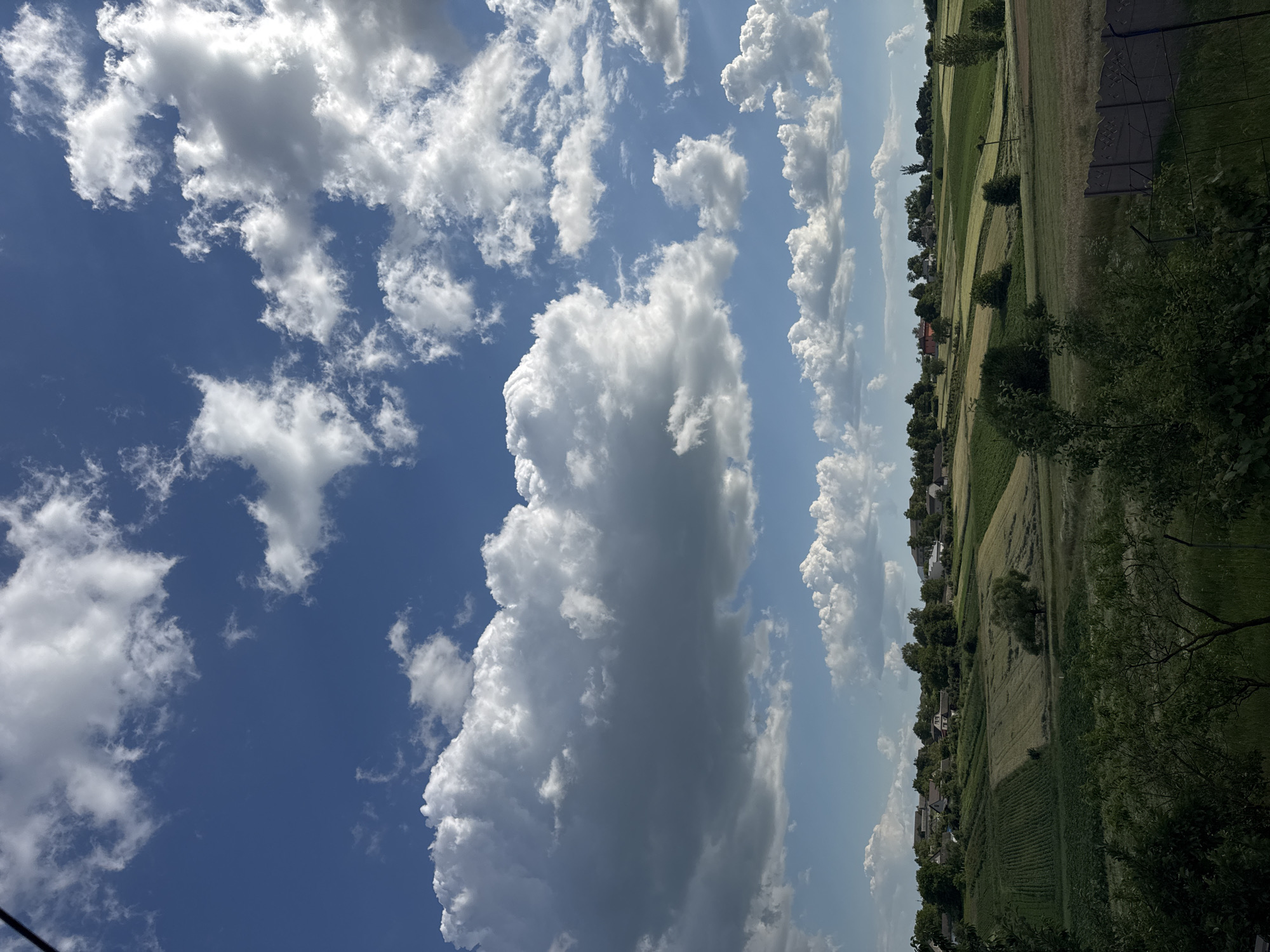Rural landscape and sky shots, apple tree included