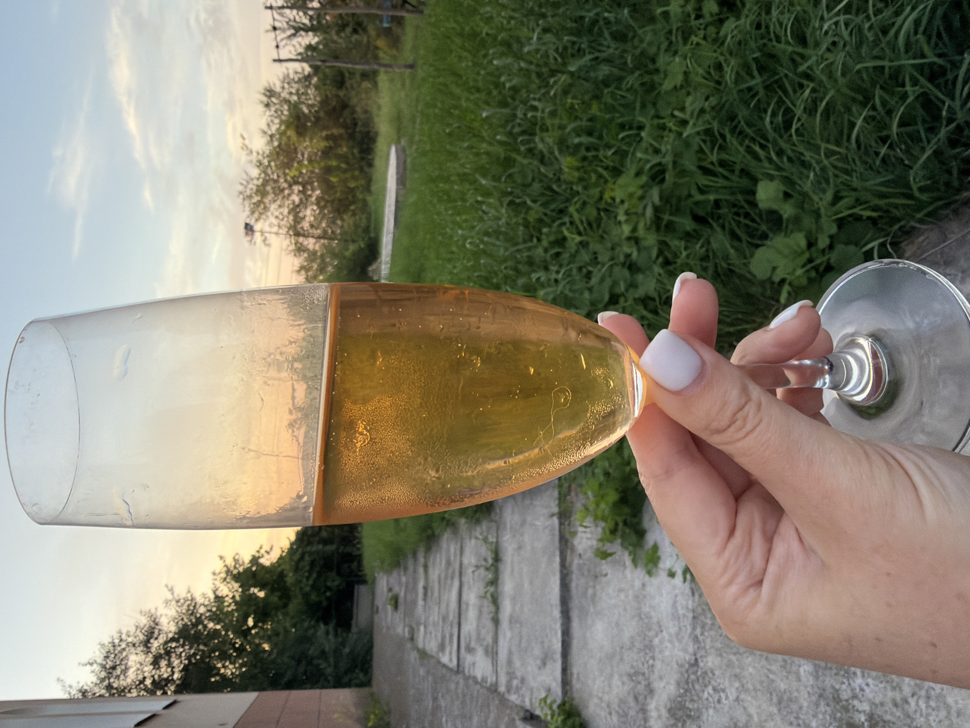 Summer evening cookout in Lozuvatka, Ukraine