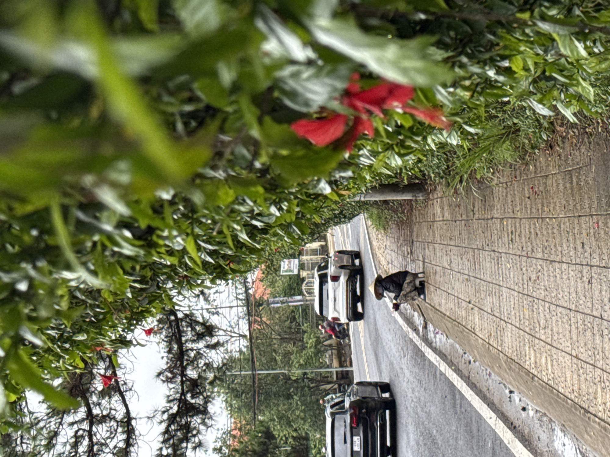 Ordinary life documented across Da Lat streets during overcast morning