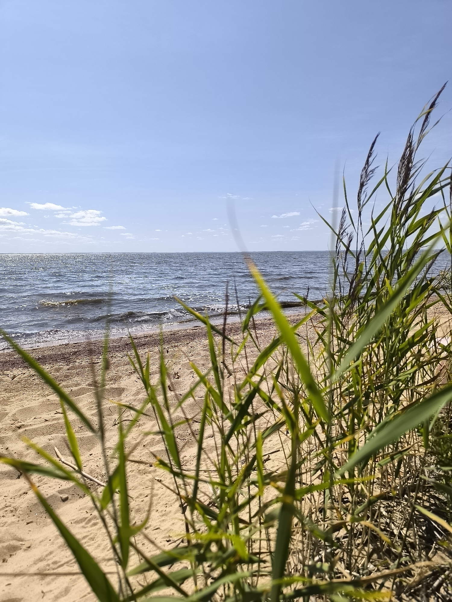 A quiet summer morning on a Russian river beach