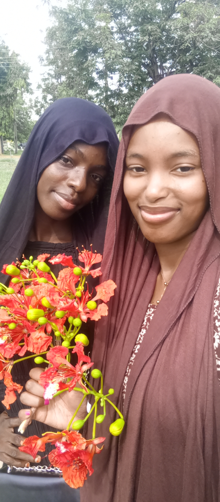 Morning moments: Young women gather, photograph flowers in Keffi