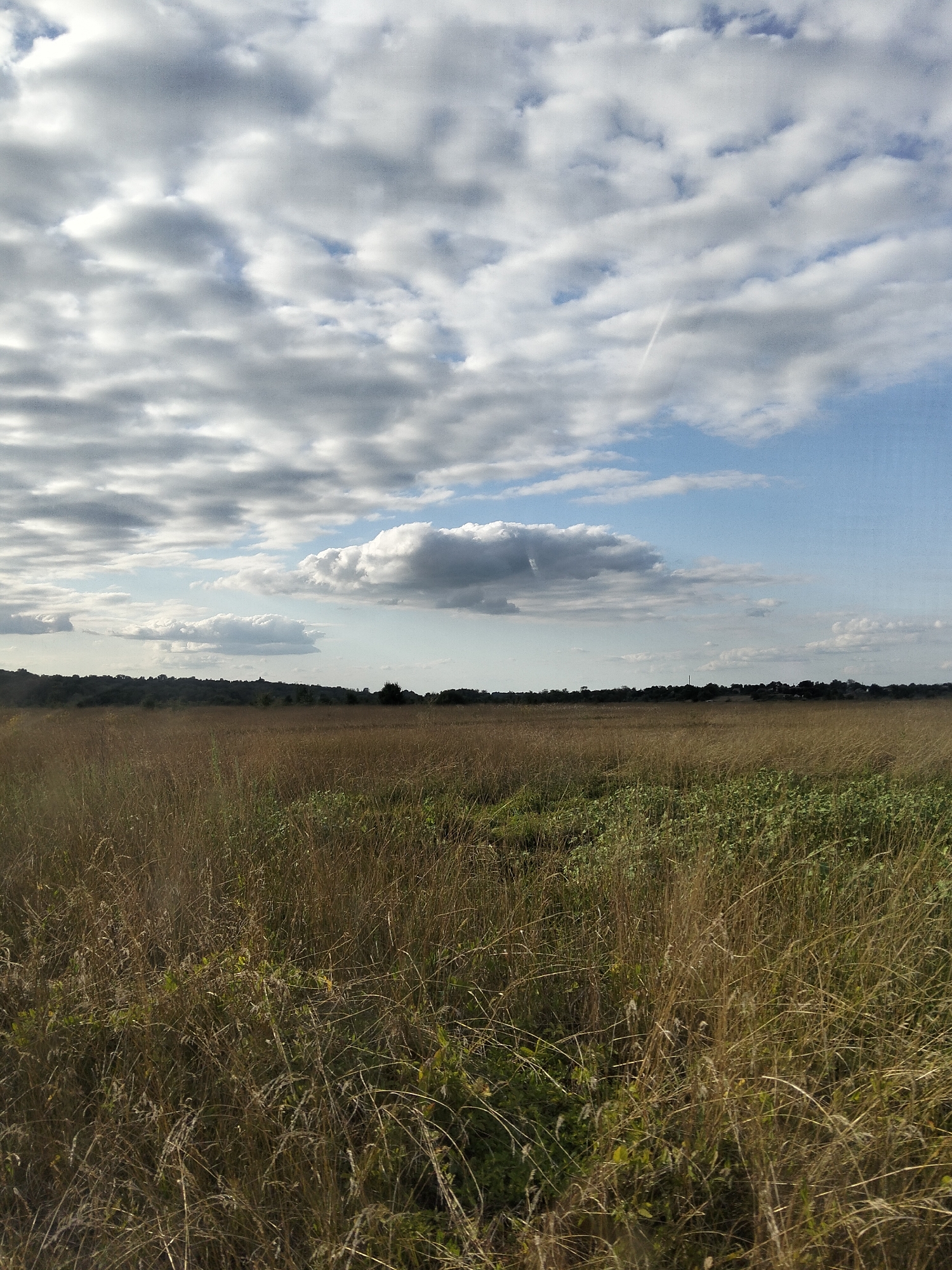 Late summer steppe near Ustyvytsia under a dramatic August sky