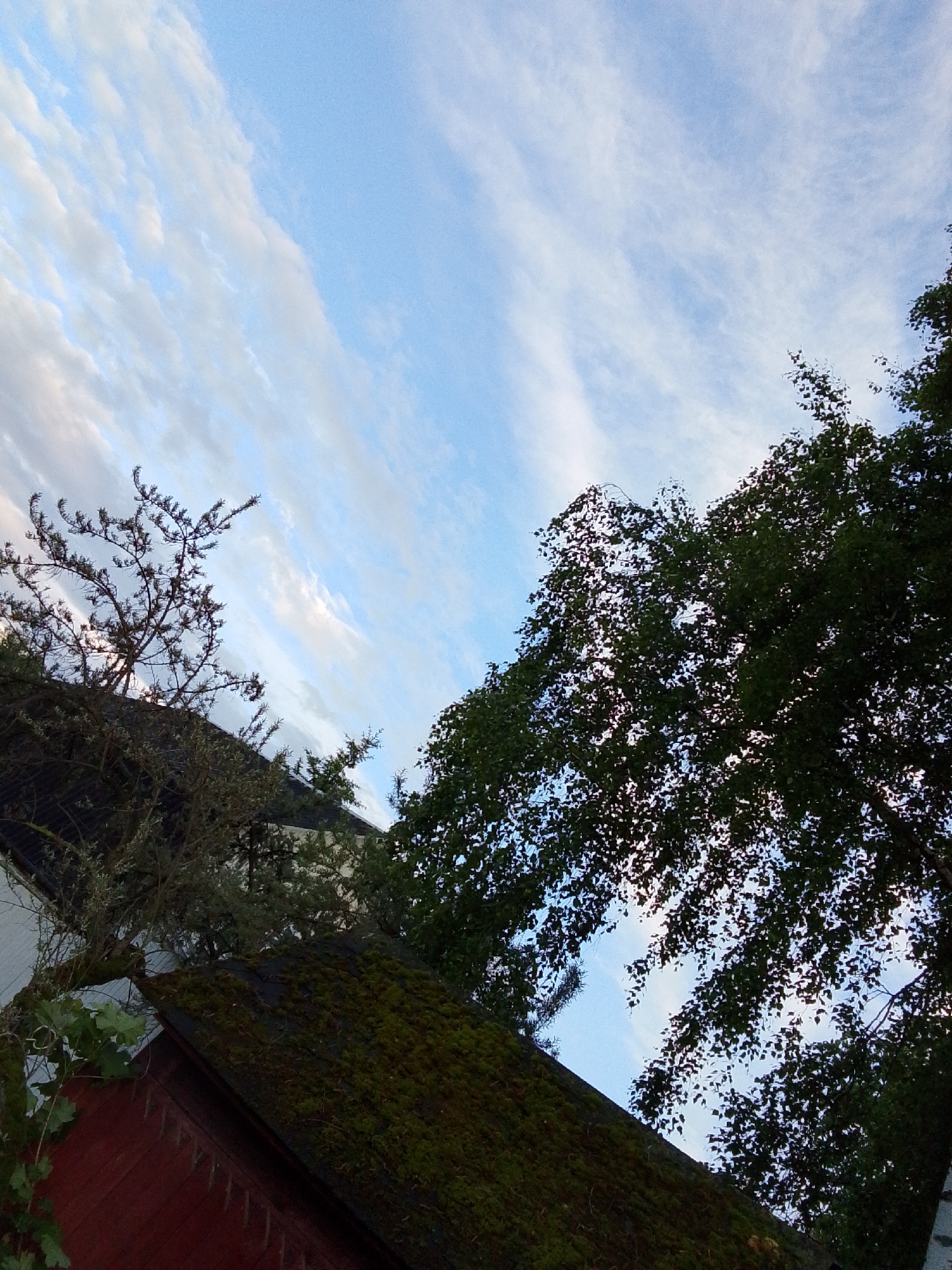Spring blooms and garden scenes captured in Russian village