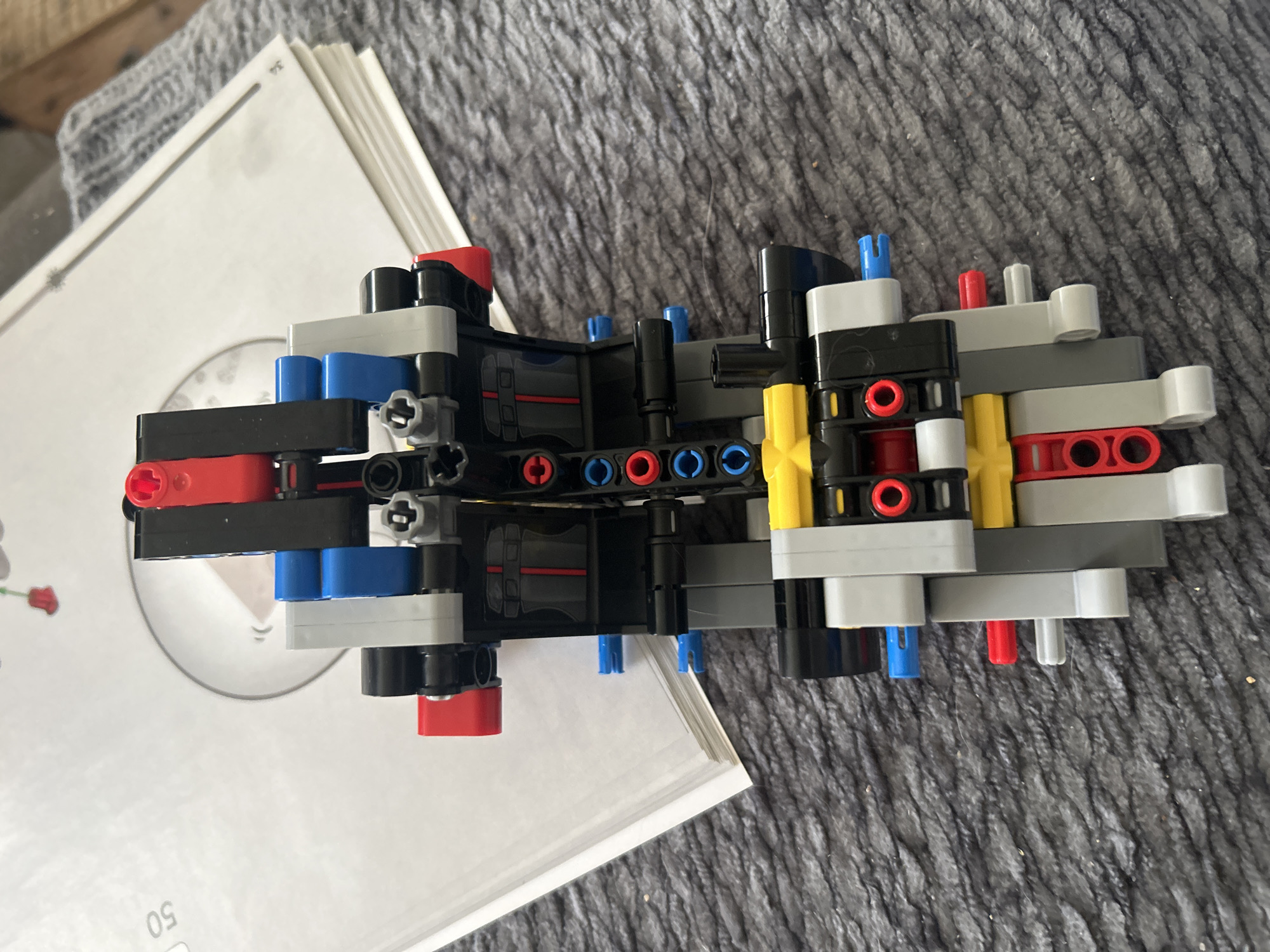Salmon dinner, Lego build, and a cat in Leiden