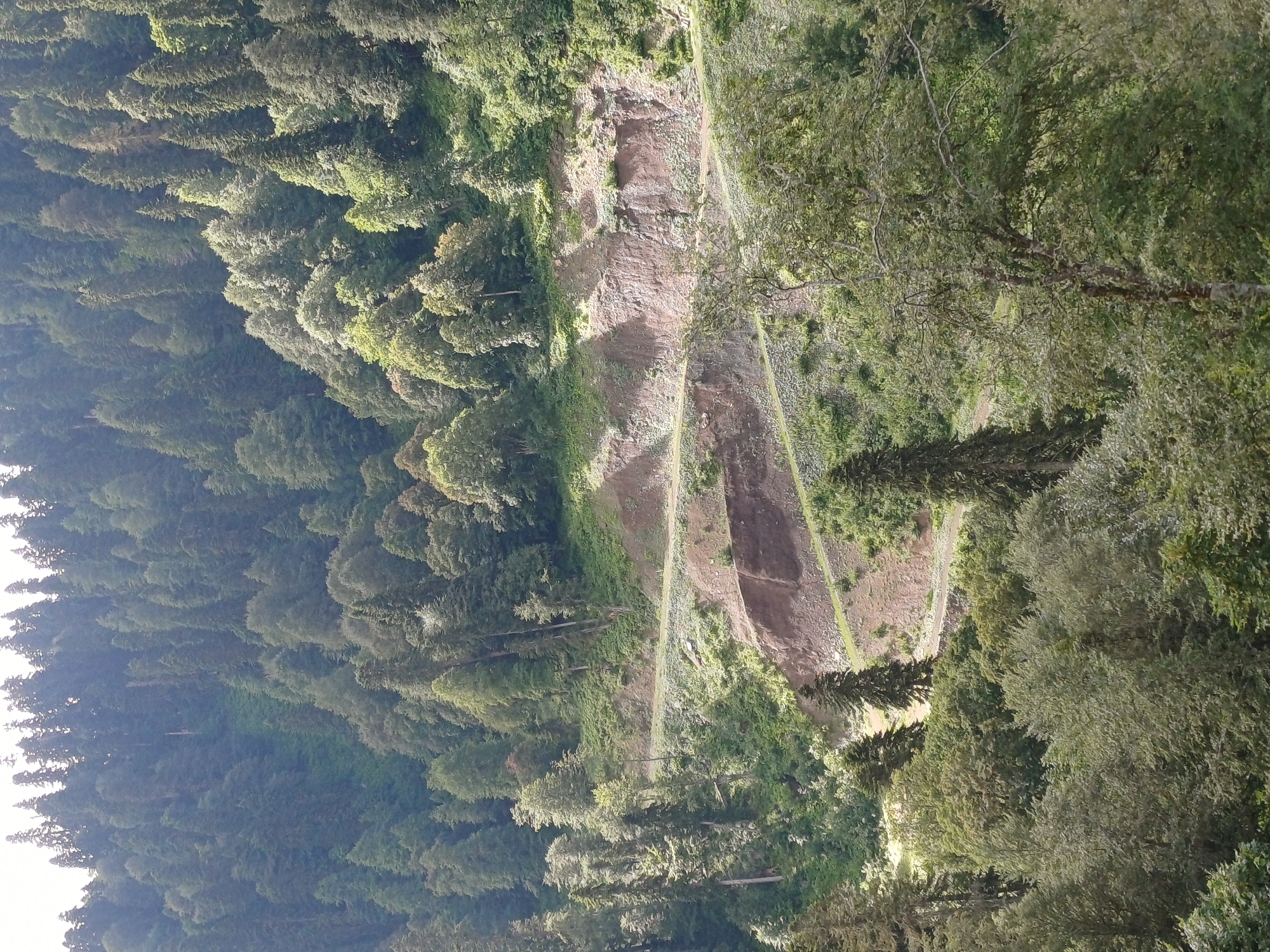 Cable car ride up forested mountain slopes in Estosadok