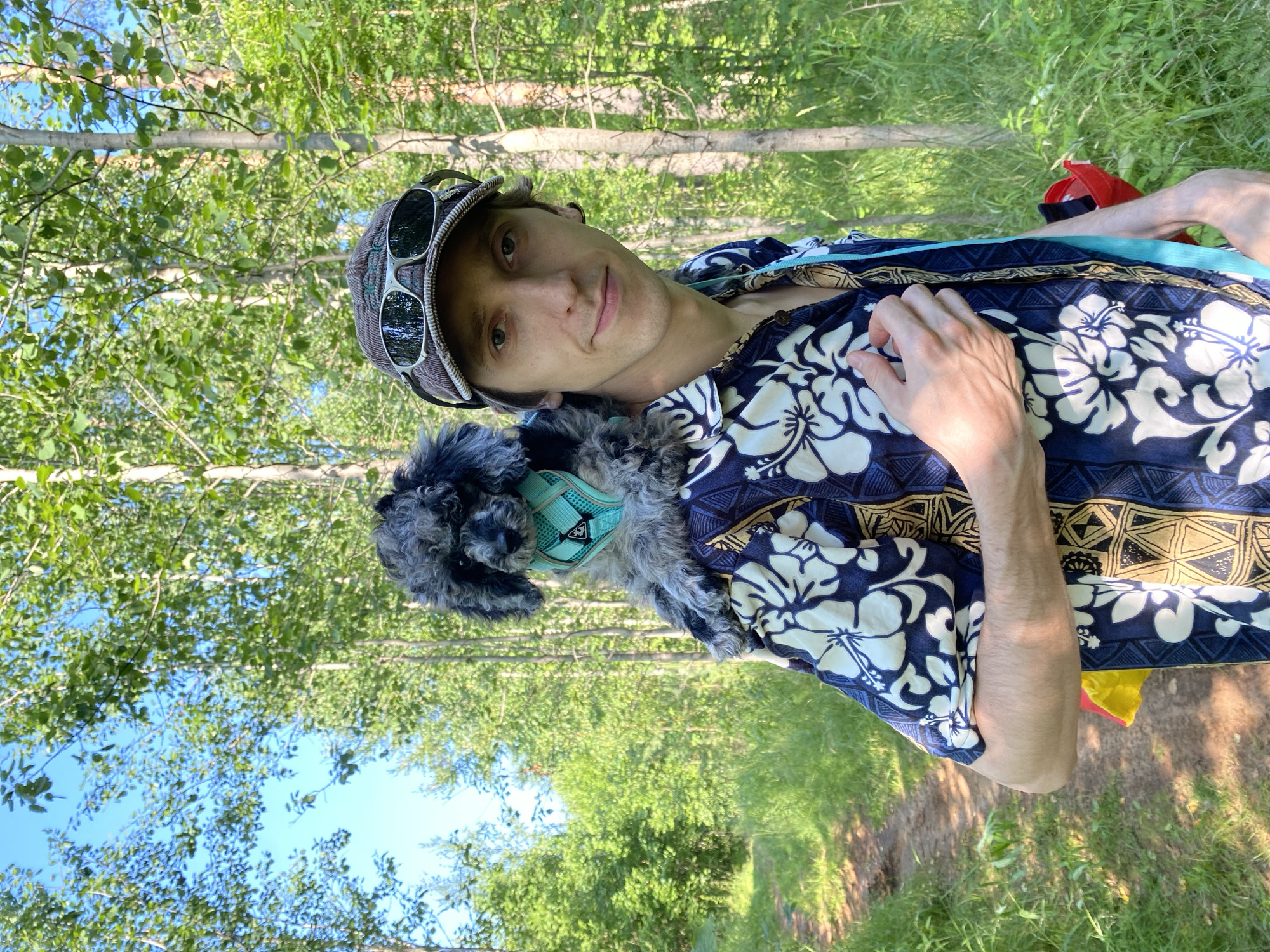 Ligolambi, Russia