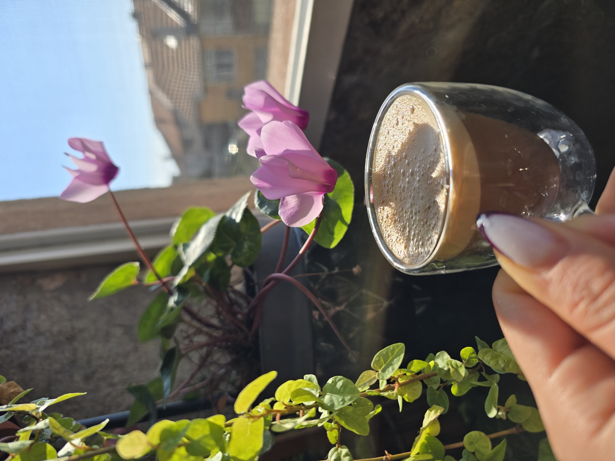 Morning coffee moment captured amid flowers in Burgas, Bulgaria