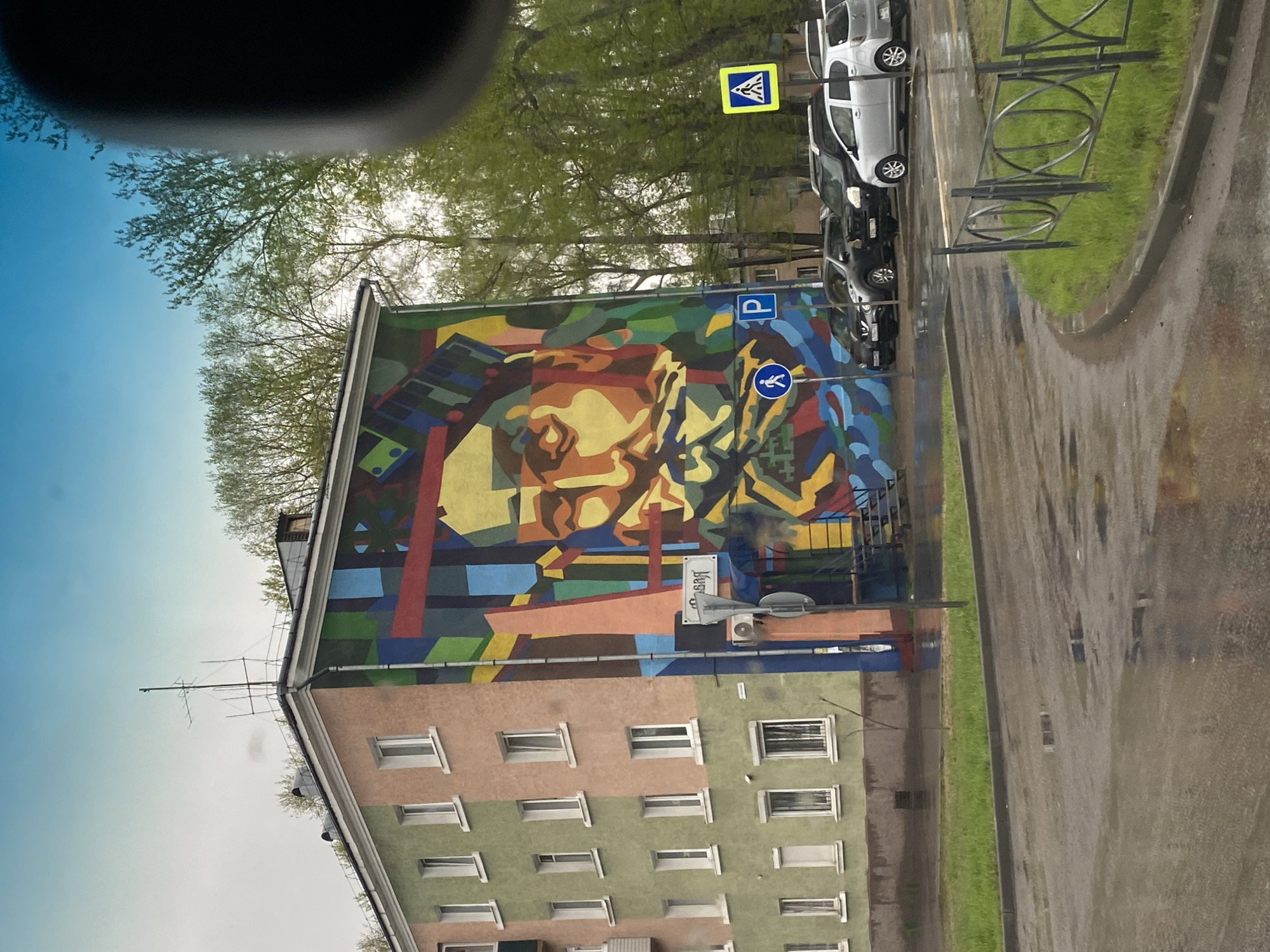 Colorful mural portrait spotted on Usolye-Sibirskoye apartment building