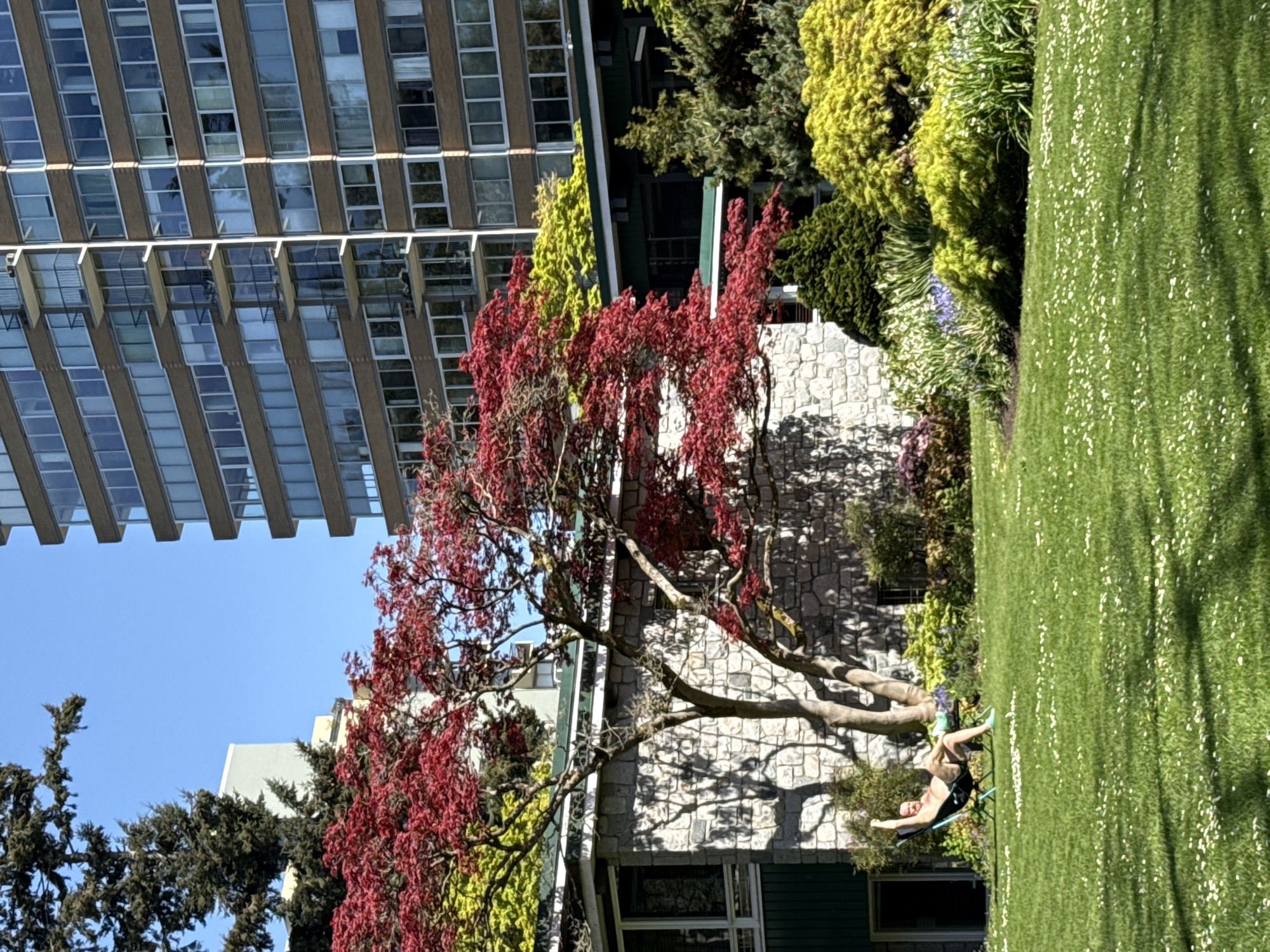 Sunny spring day observed in Vancouver urban park