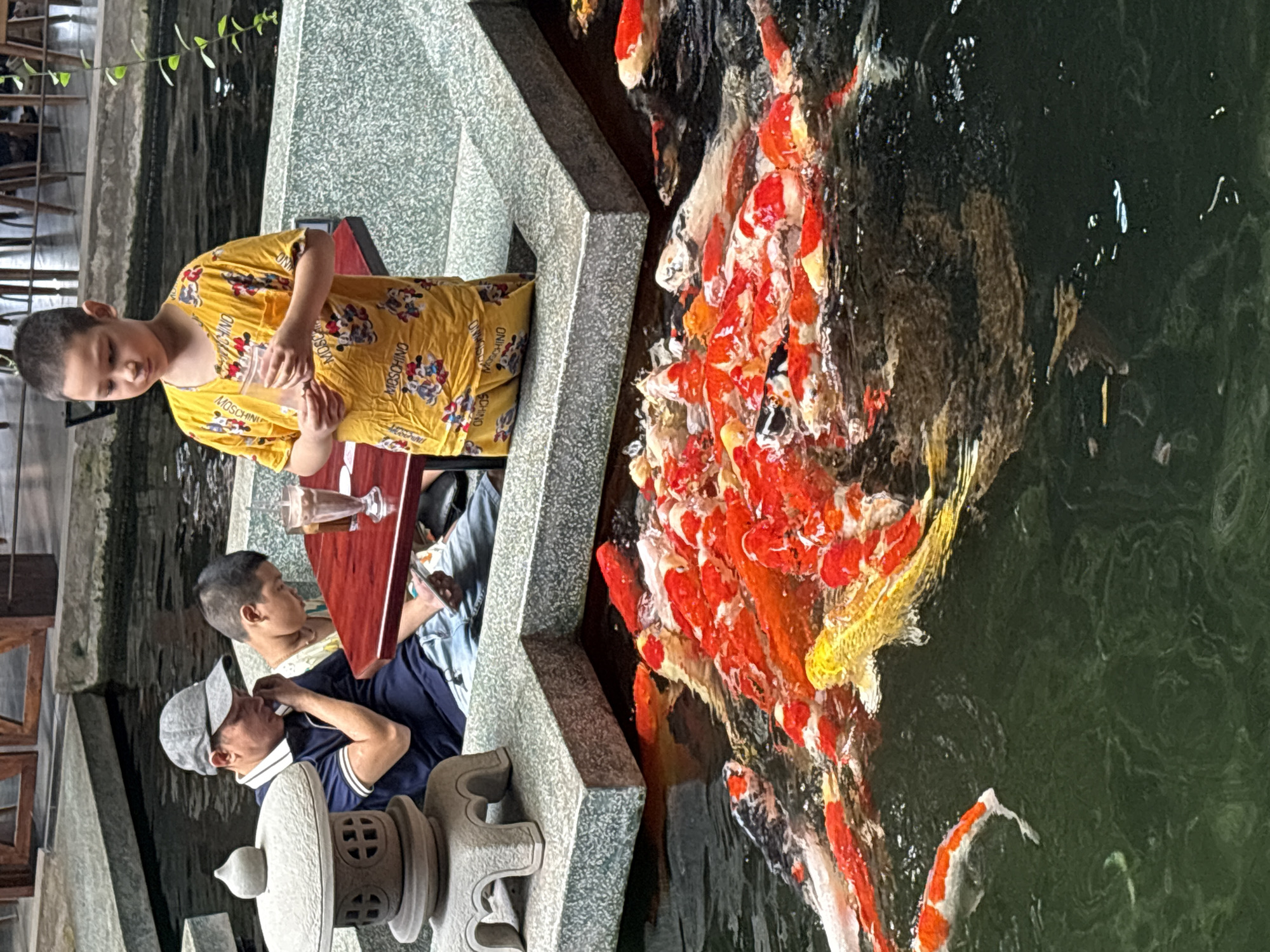 Koi pond at a Đà Nẵng café pulls in curious visitors