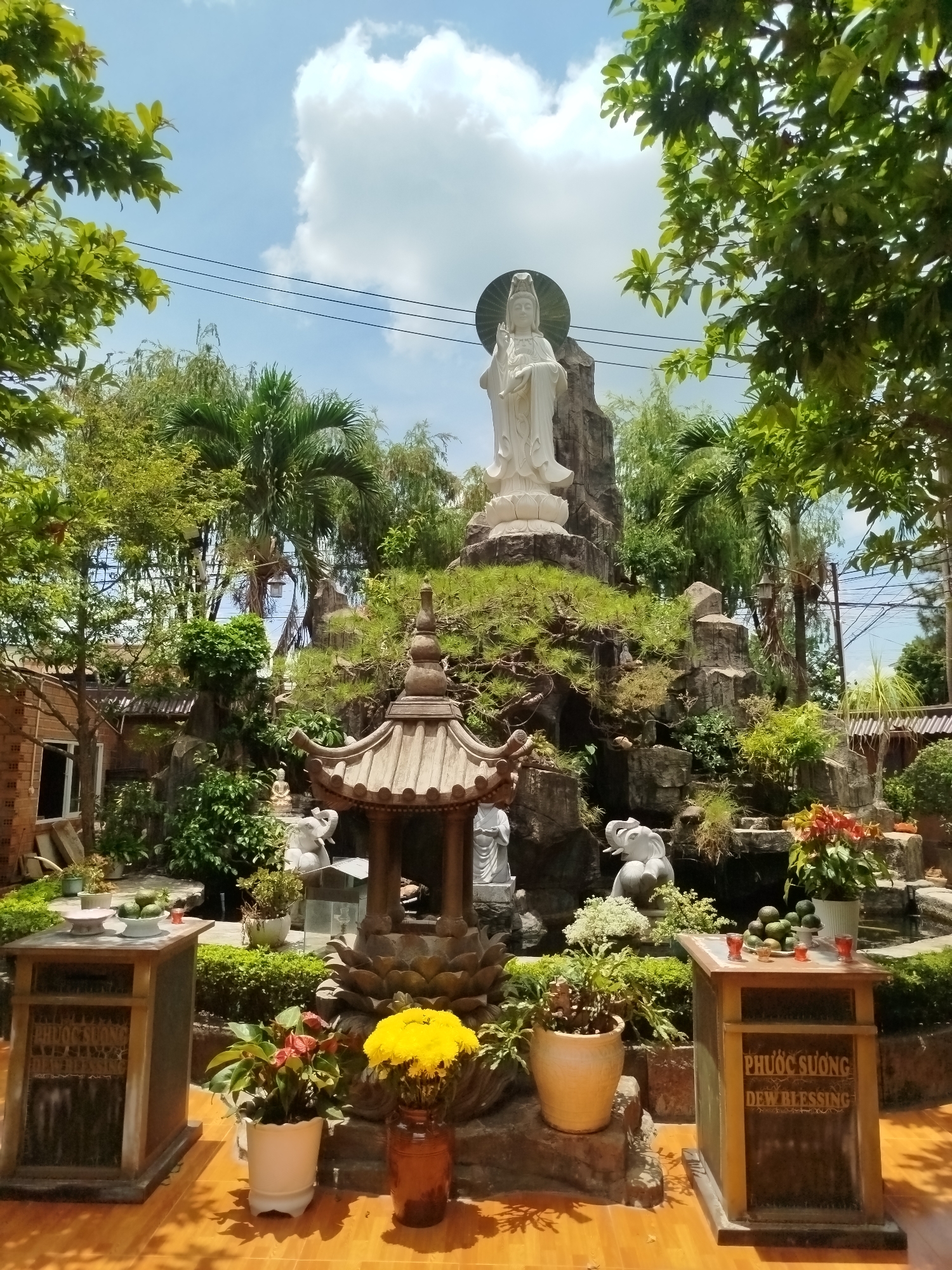 Daily Life Moments Captured in Dien Hong Ward Vietnam
