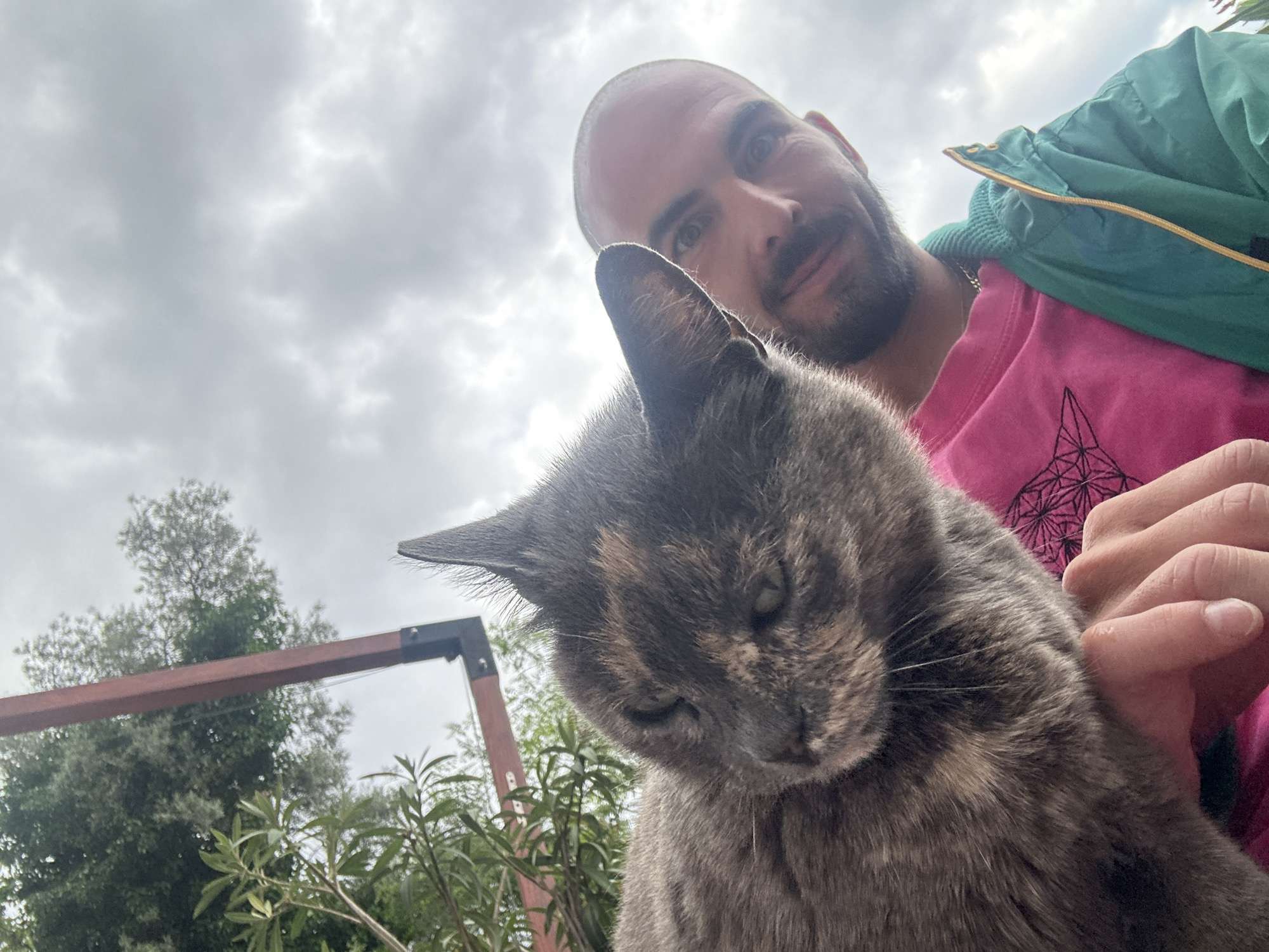 Man bonds with stray cats in Budva Montenegro