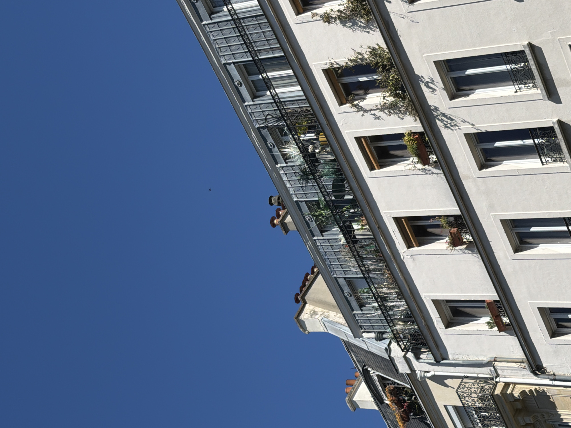 Parisian building facade captured under clear skies