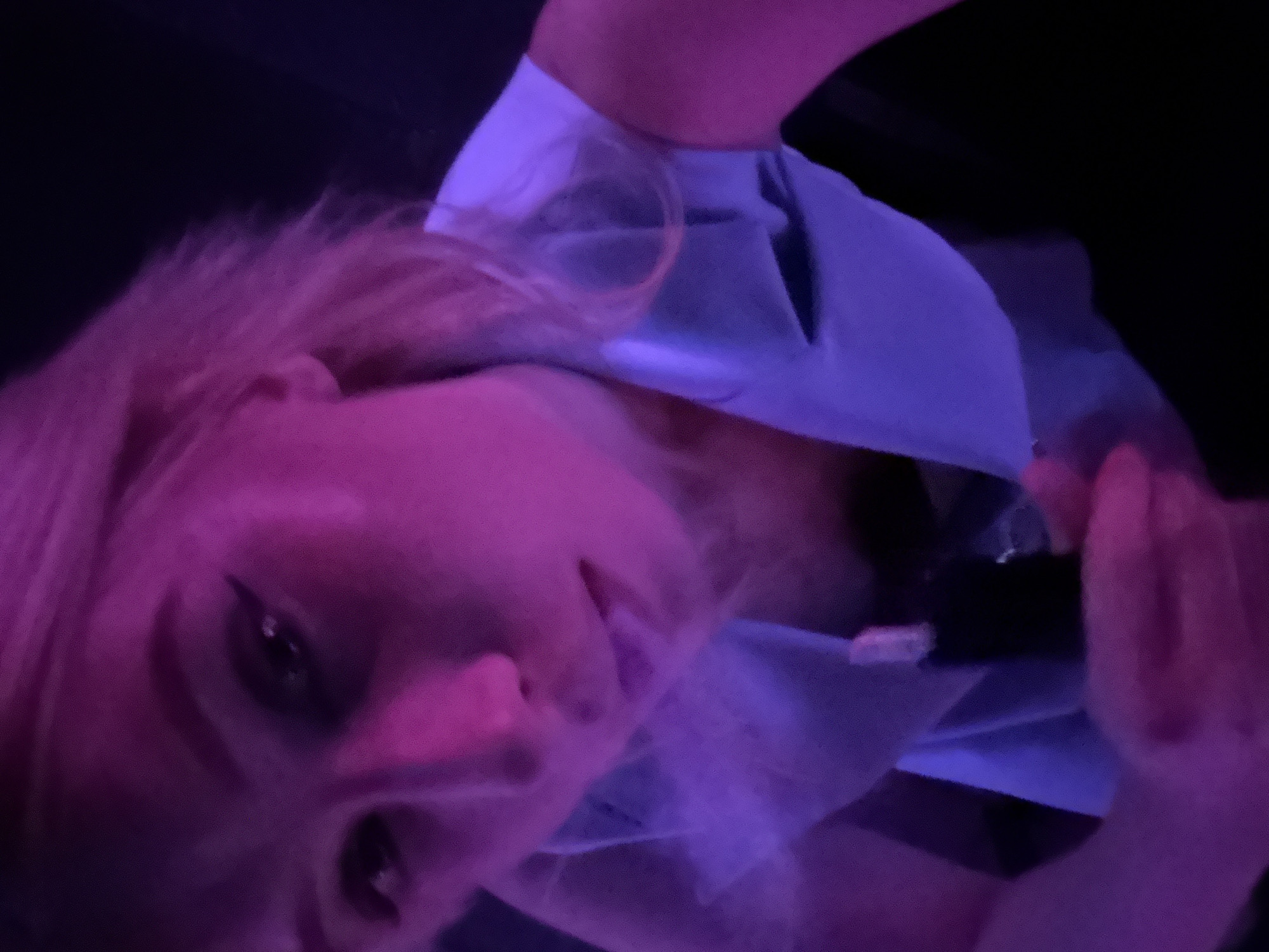 Woman photographed at nightclub bar in Amman