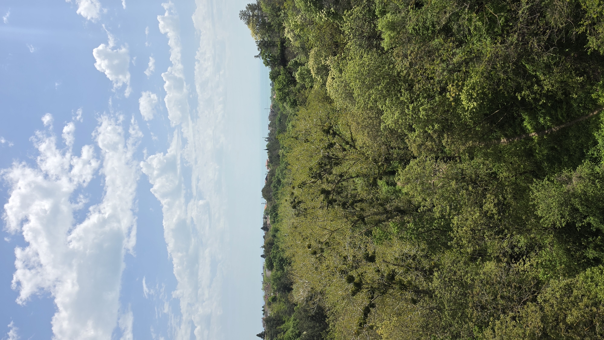 Aerial view captures Varna's green canopy and cityscape