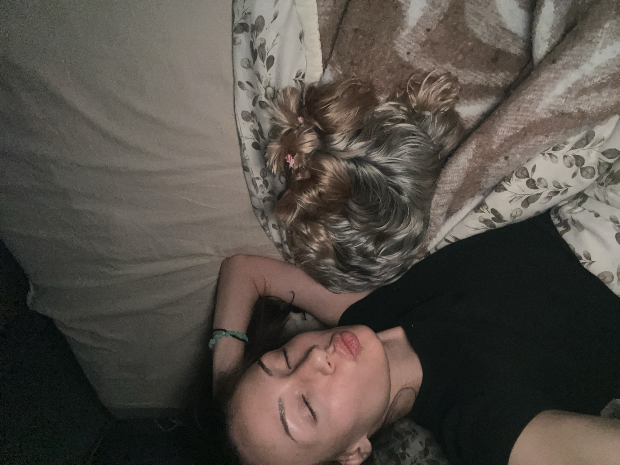 Evening reading session with pet companion in Burgas bedroom