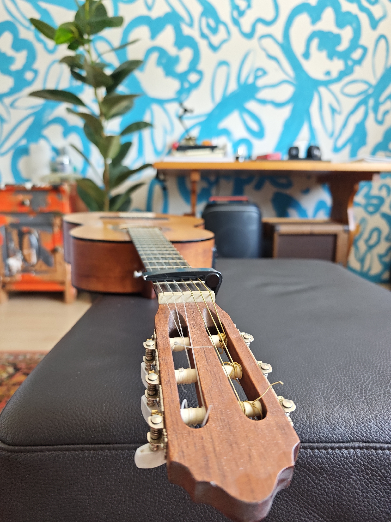 Acoustic guitar, incense, and a misted plant at home in Leopoldshöhe
