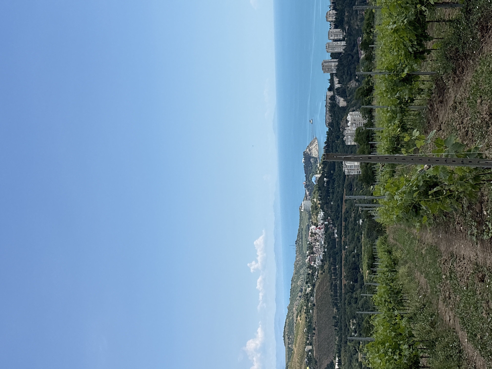 Morning life documented in Partenit: vineyards, breakfast, local foods