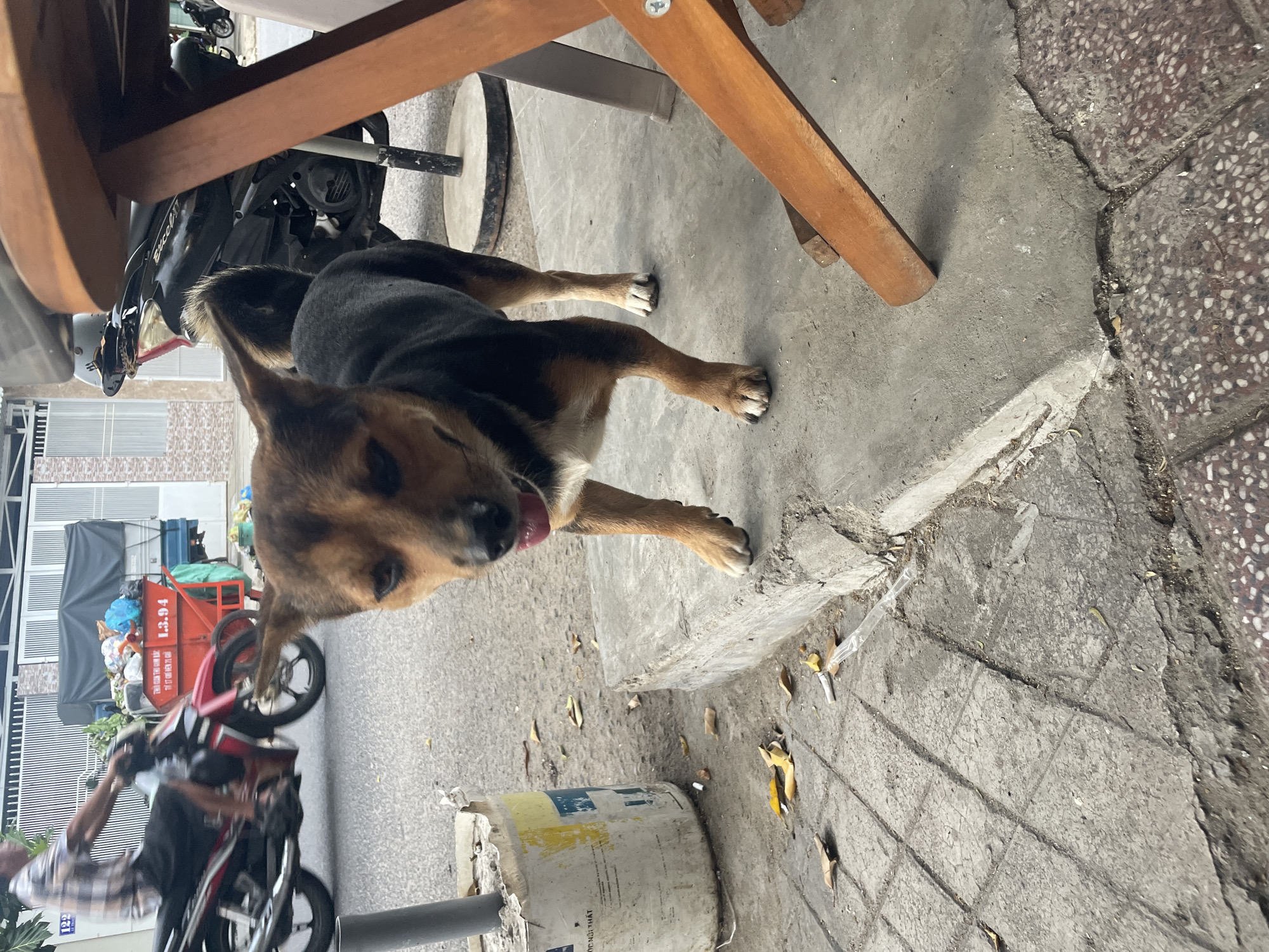 Morning street wandering and food stops in Nha Trang