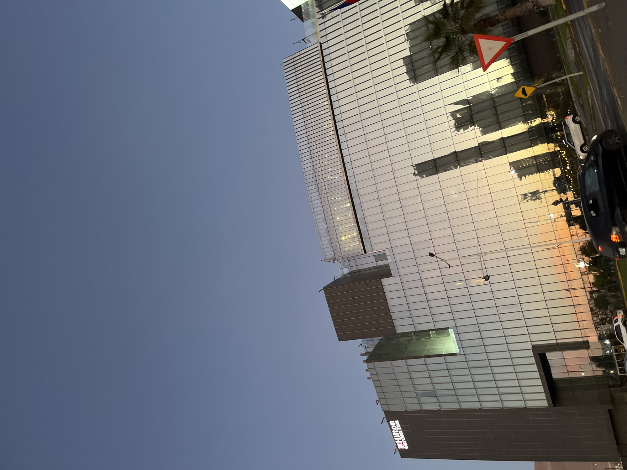 Urban scenes and taxidermied boar captured during evening hours