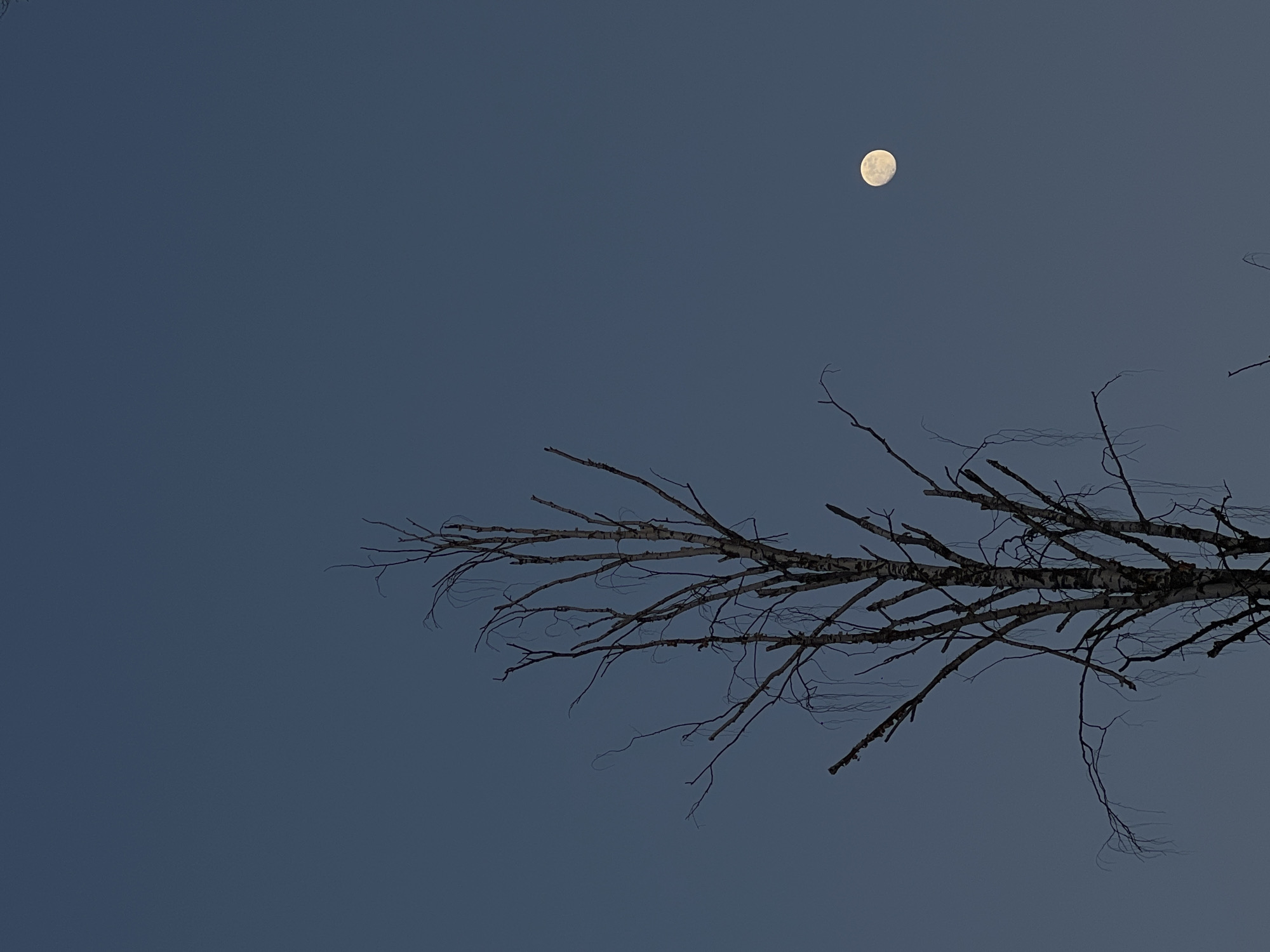 Winter landscapes photographed in Chaykovsky, Russia