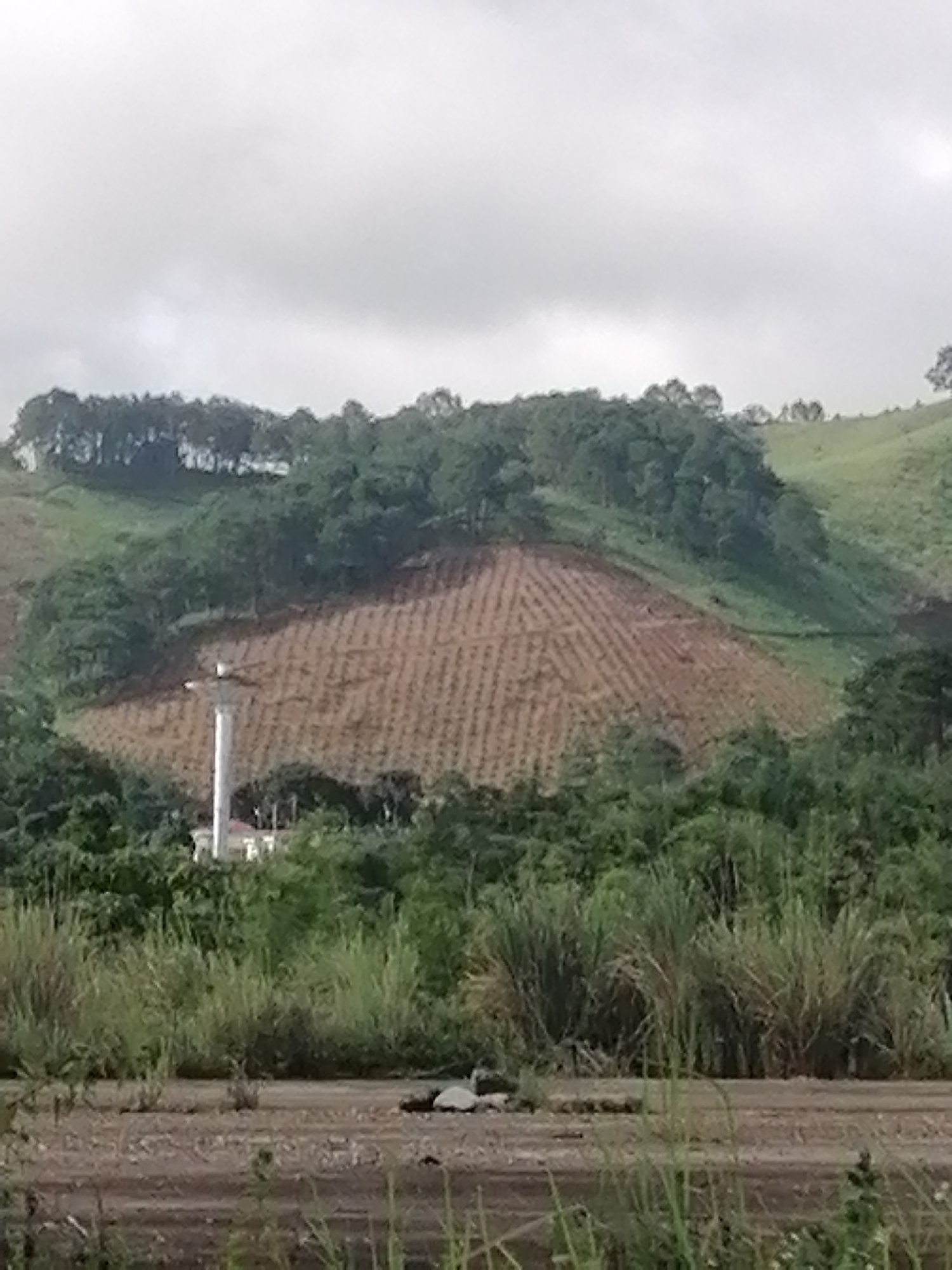 Bo Y, Vietnam