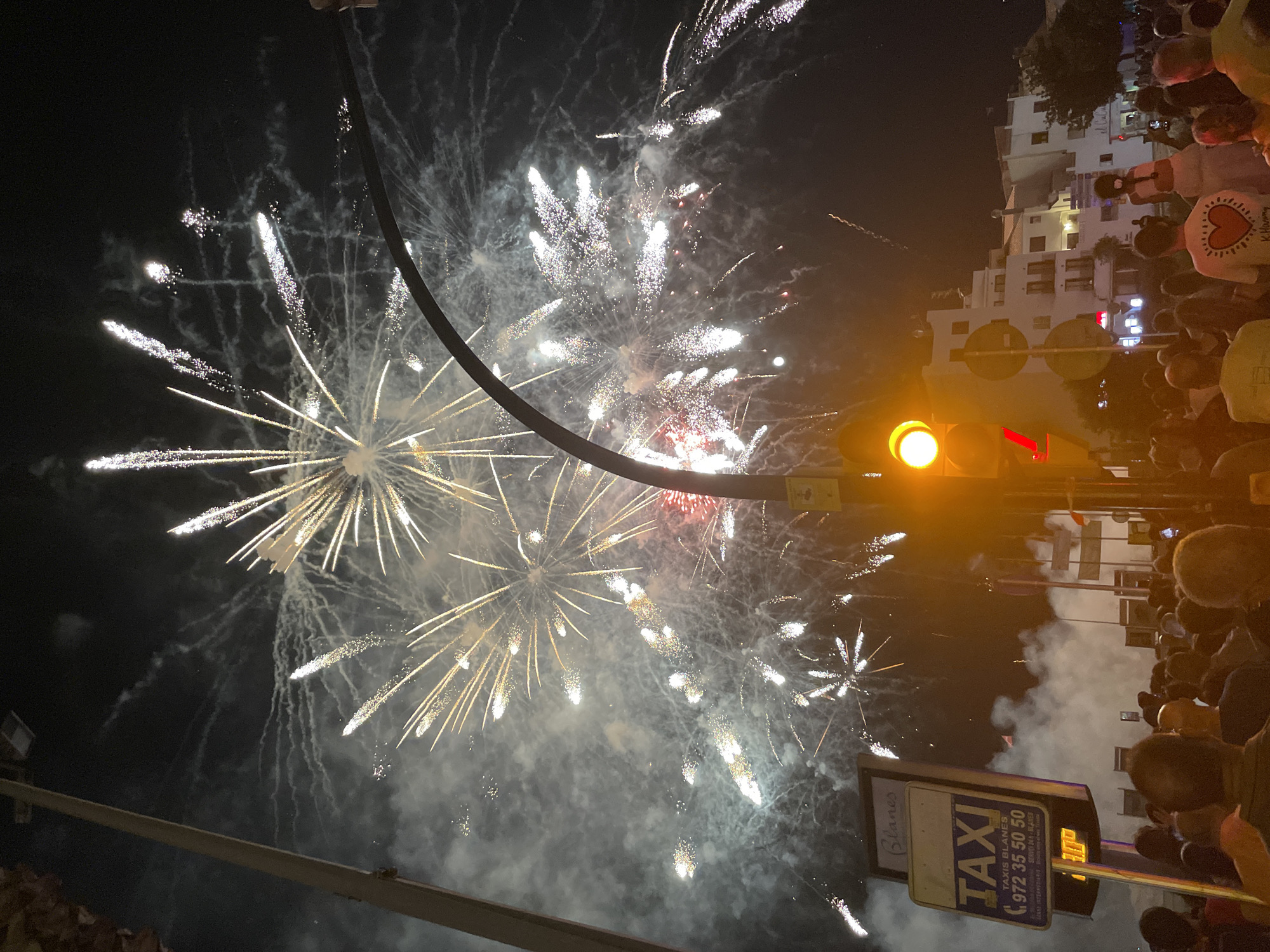 Fireworks display over the Blanes waterfront at night